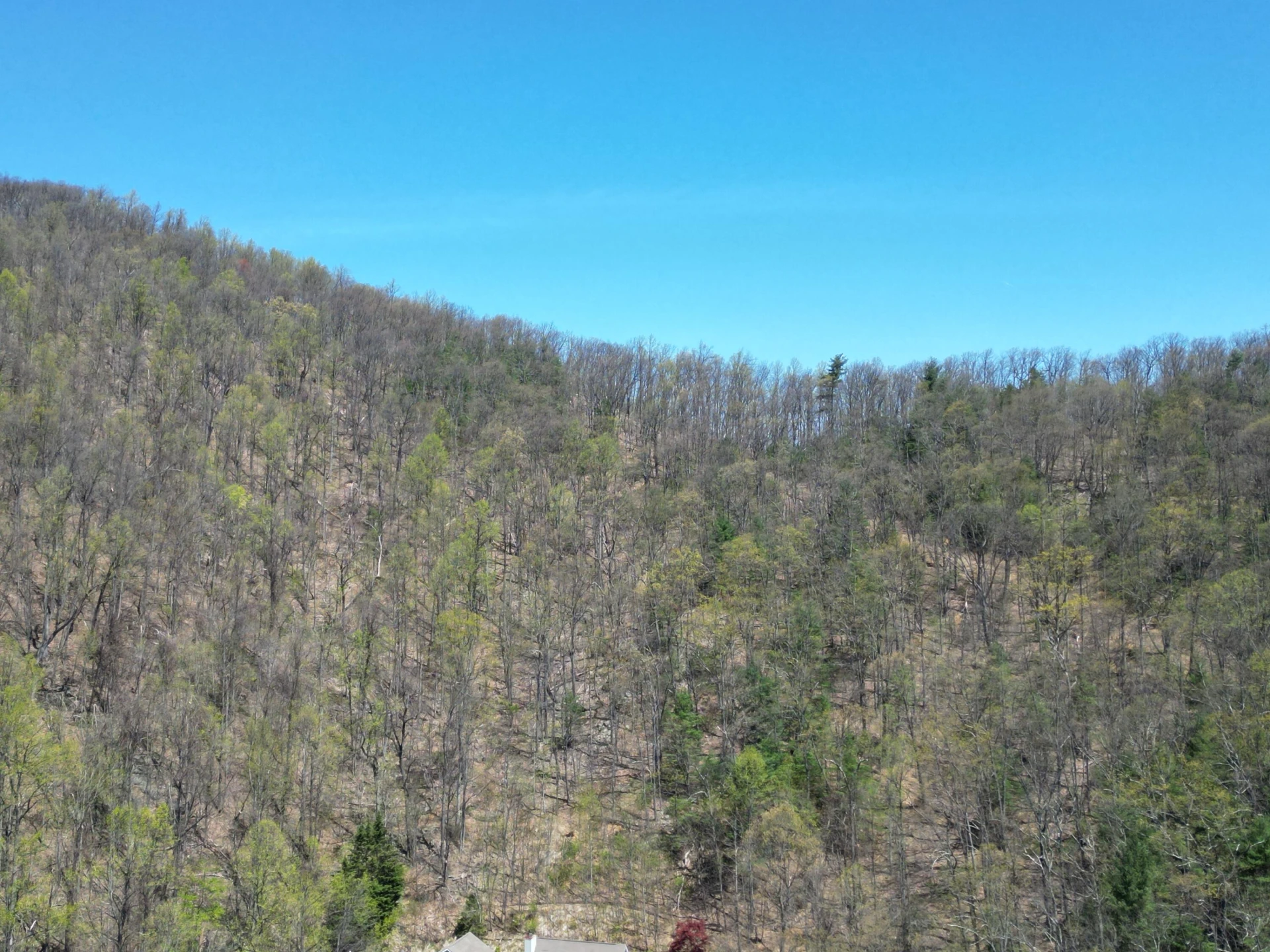 00 MASONS KNOB RD - Photo 14