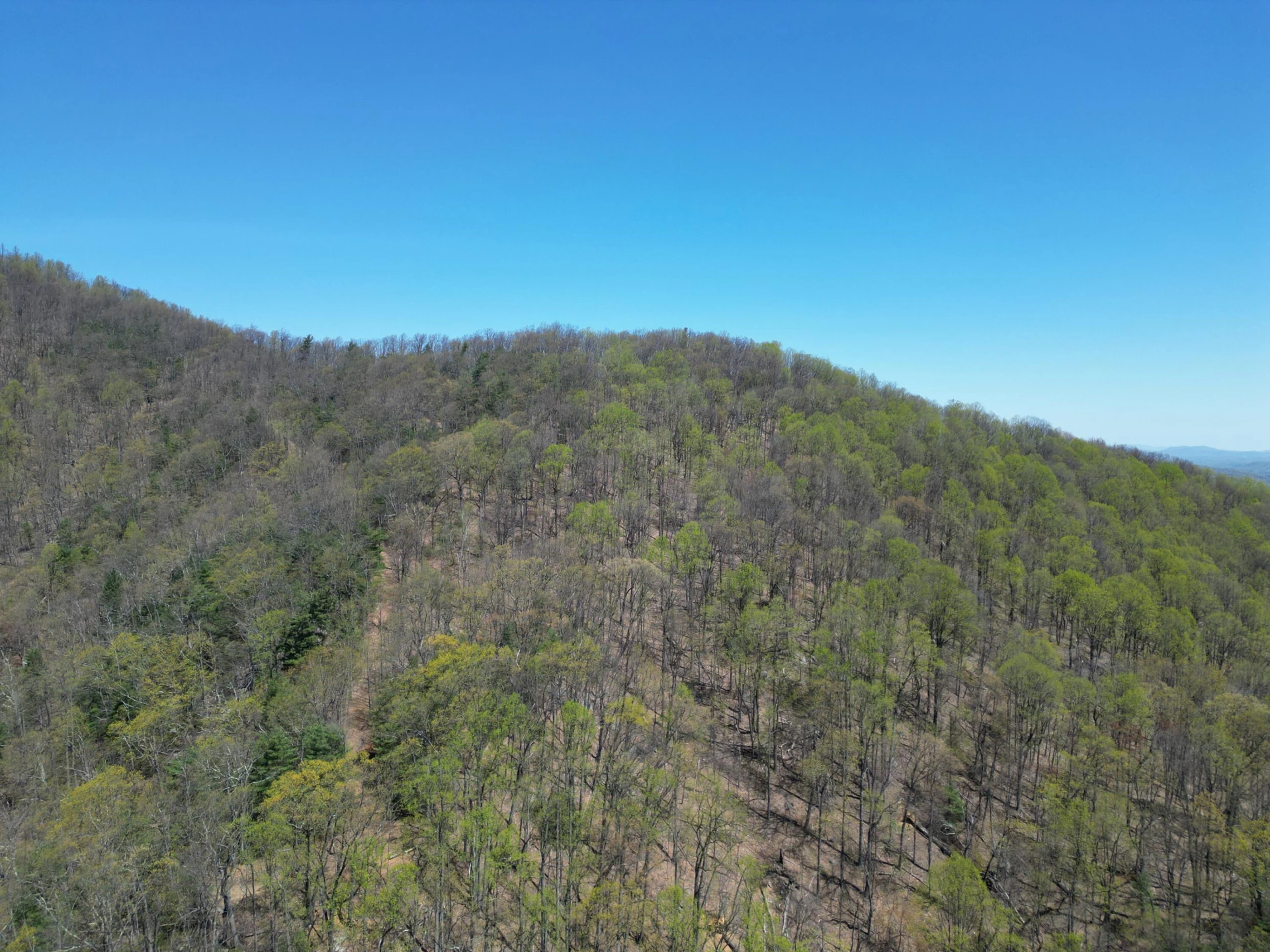 00 MASONS KNOB RD - Photo 15