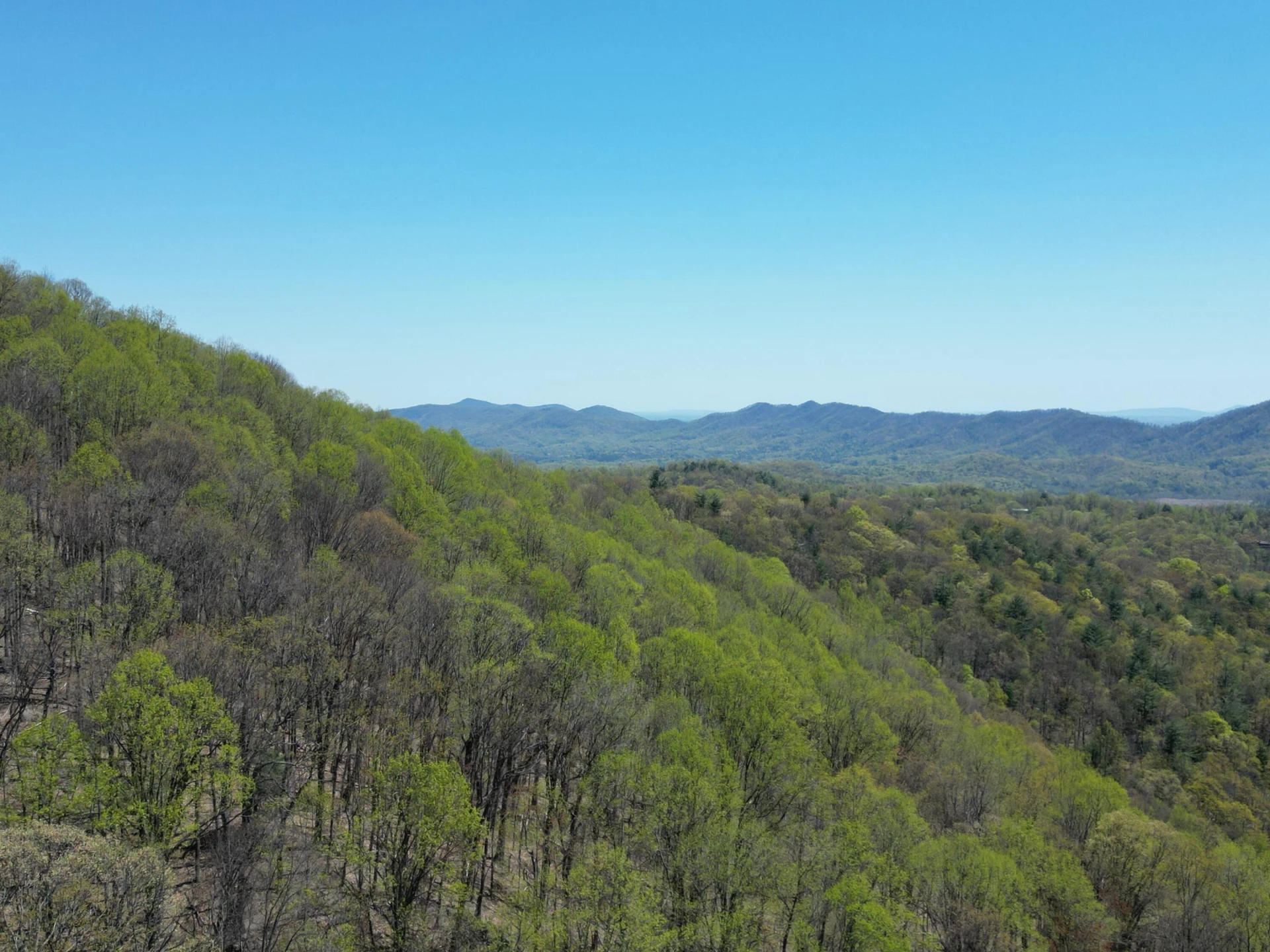 00 MASONS KNOB RD - Photo 16