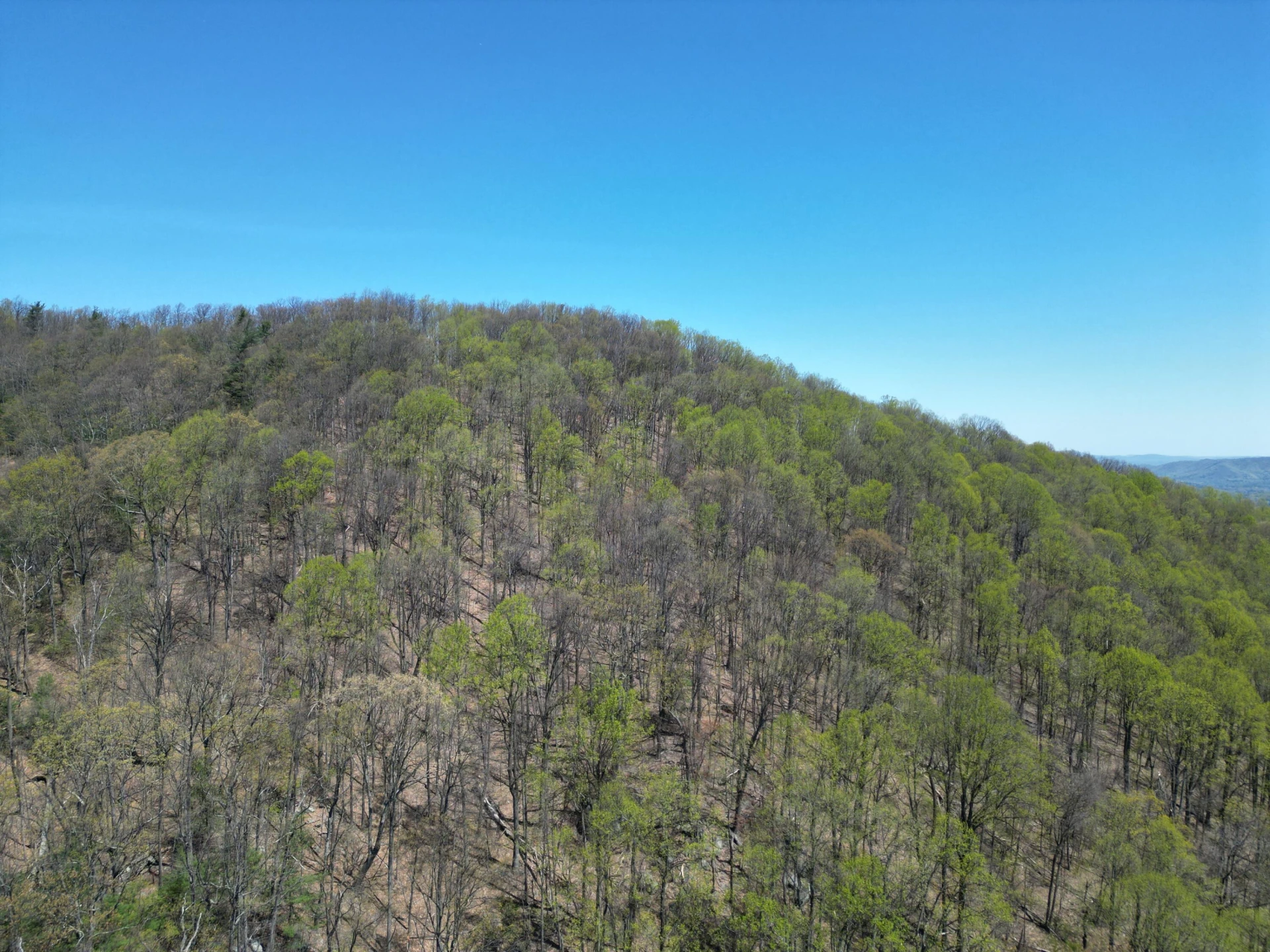 00 MASONS KNOB RD - Photo 17