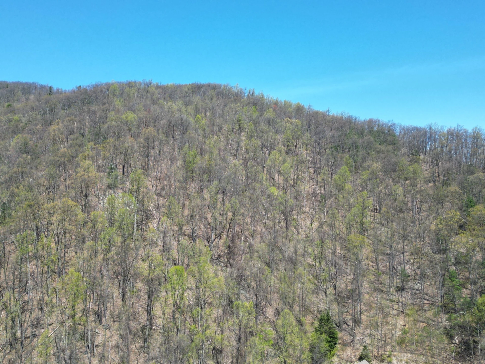 00 MASONS KNOB RD - Photo 19