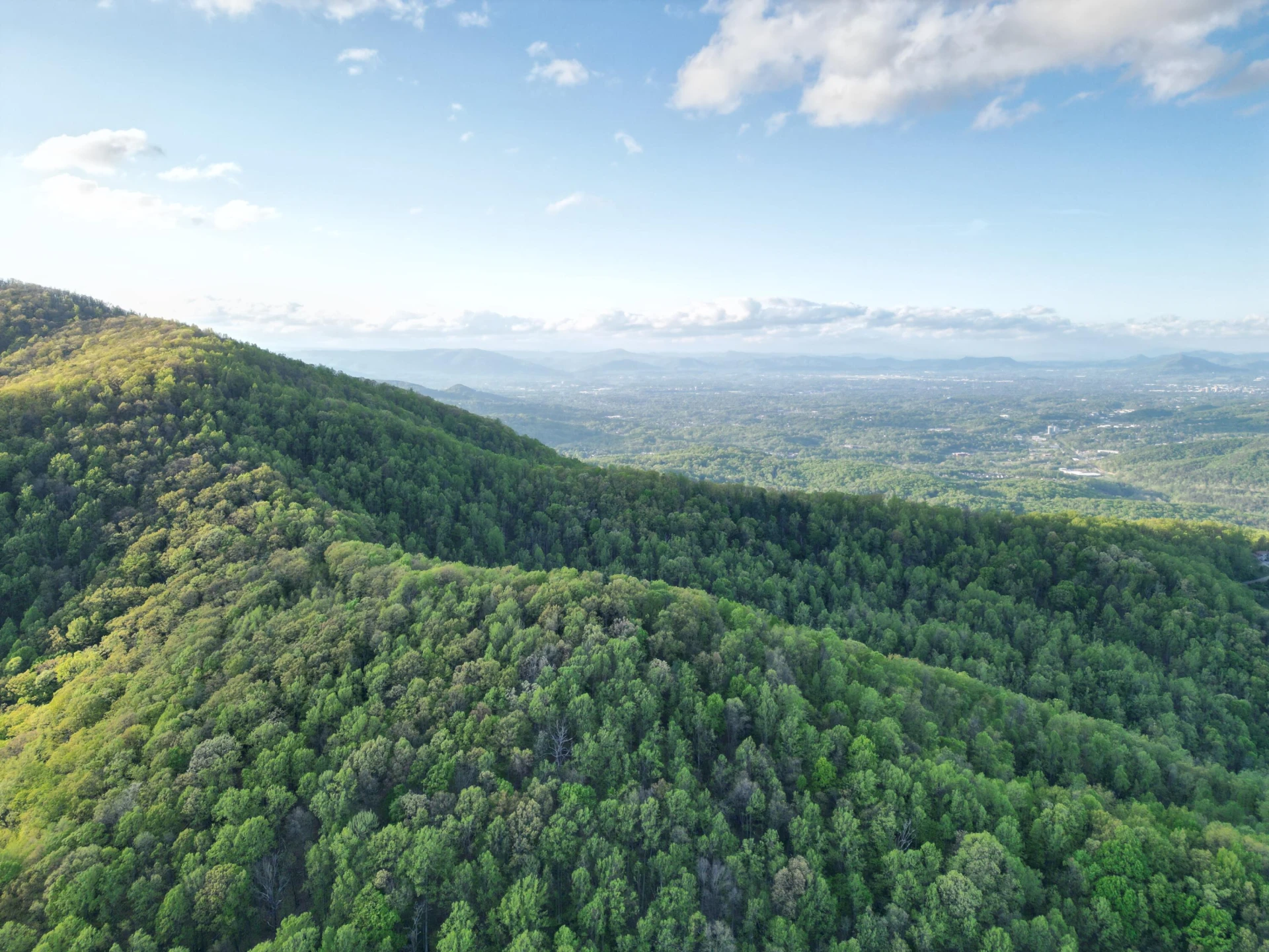 00 MASONS KNOB RD - Photo 2