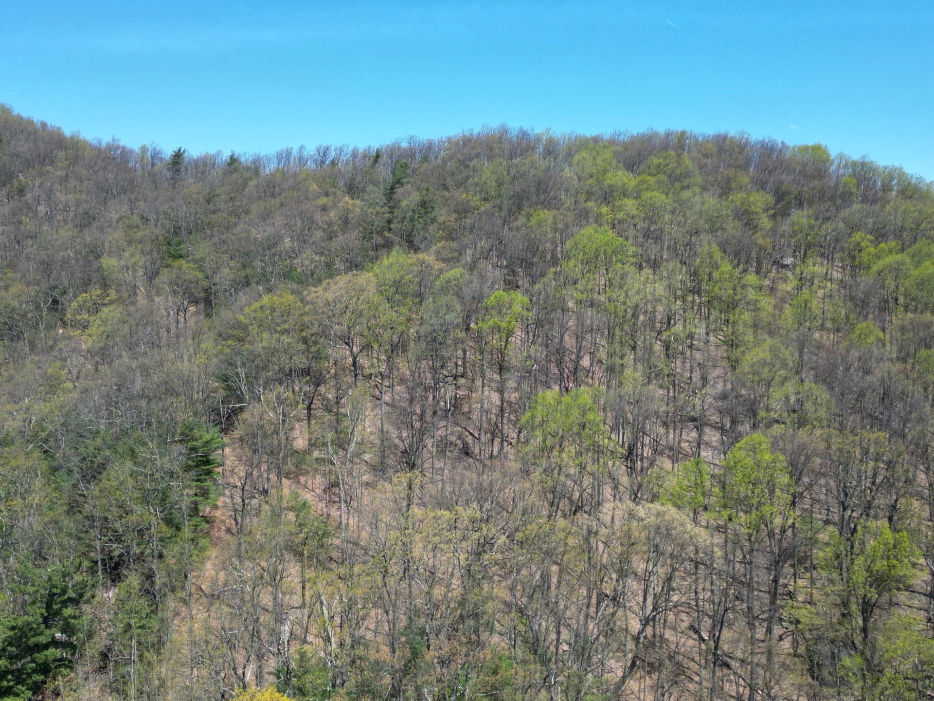 00 MASONS KNOB RD - Photo 20