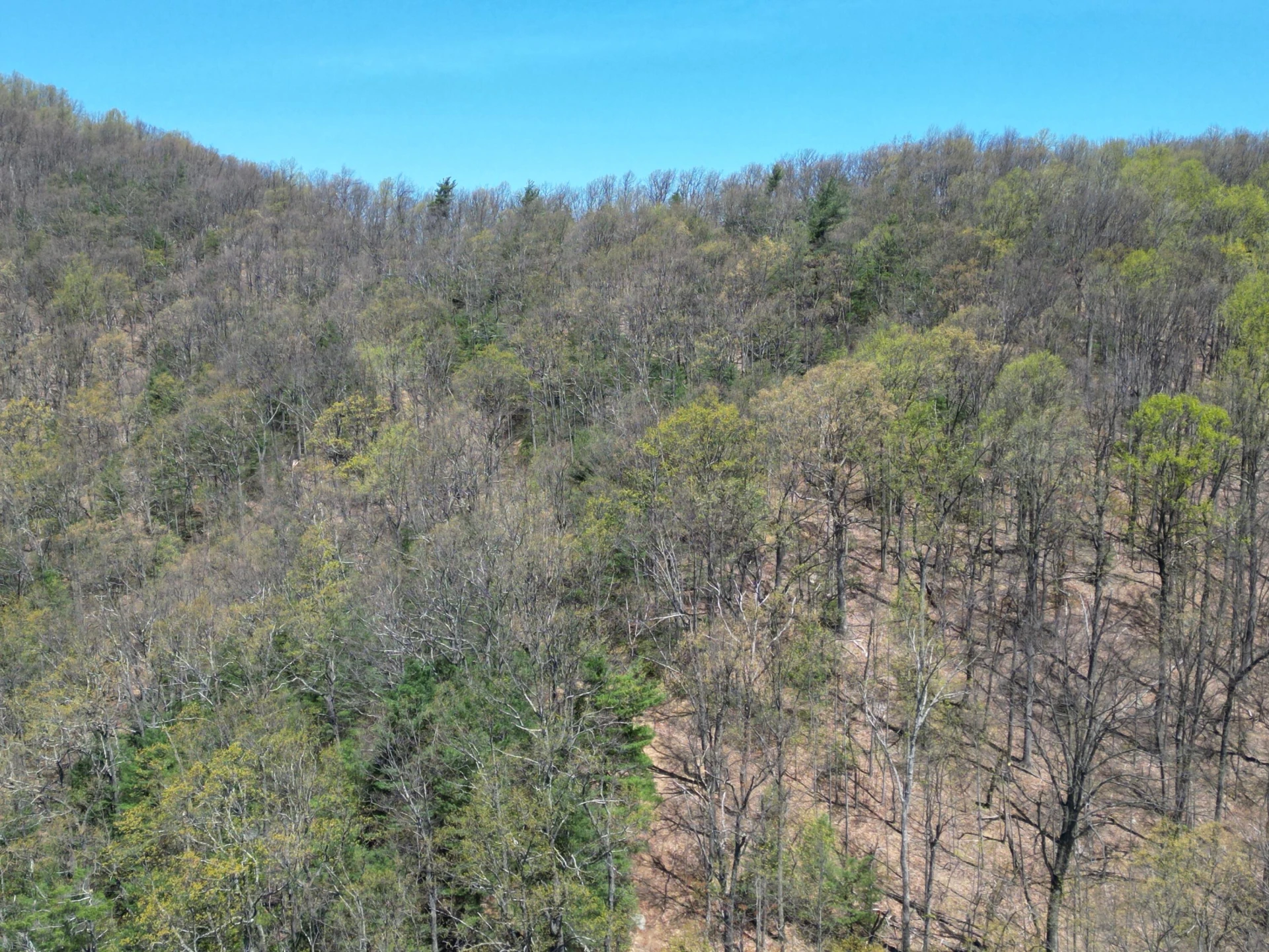 00 MASONS KNOB RD - Photo 22