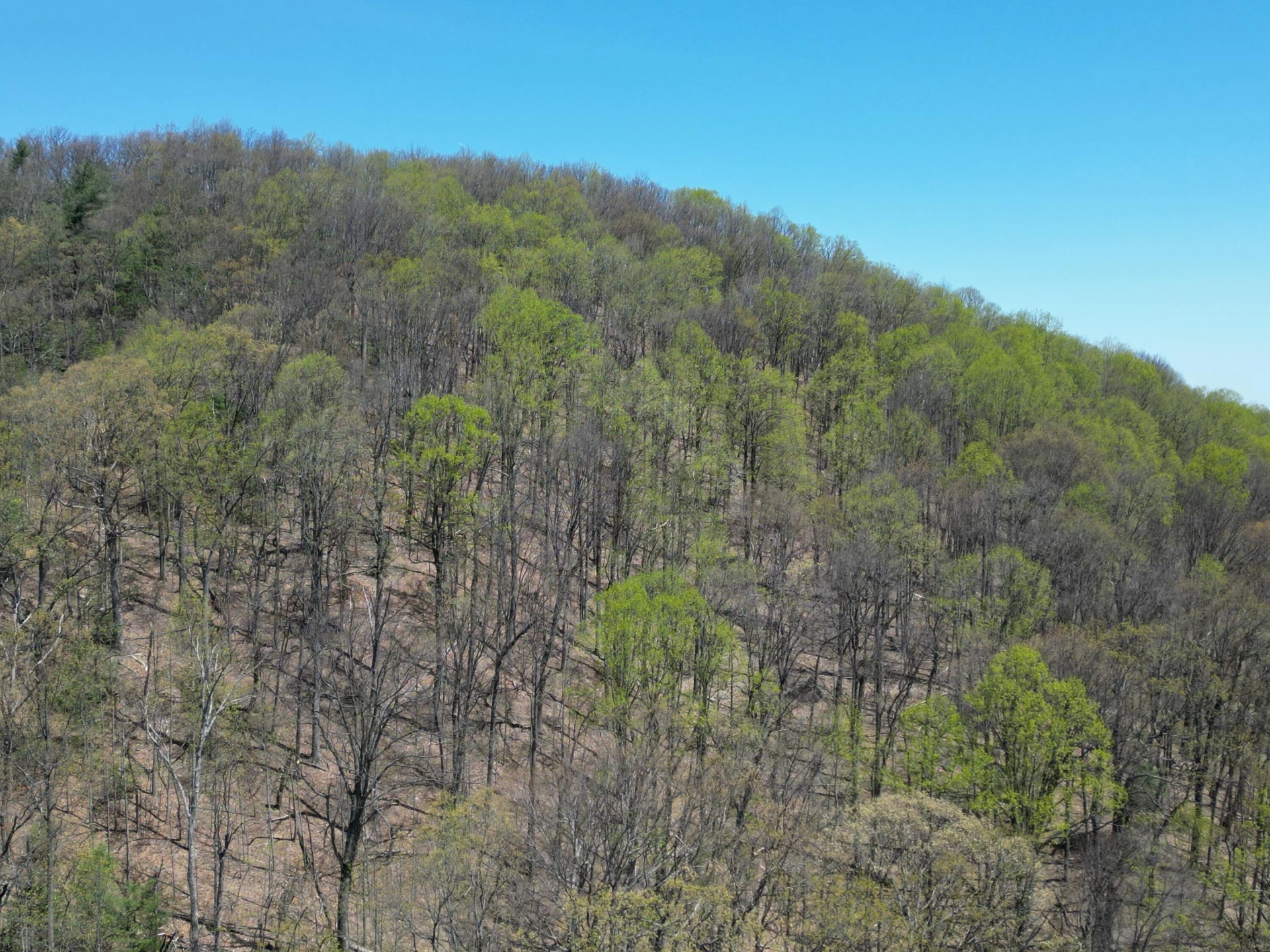 00 MASONS KNOB RD - Photo 23
