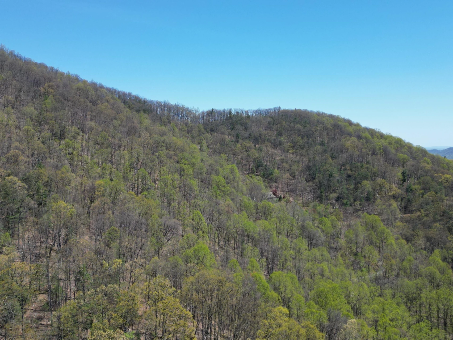 00 MASONS KNOB RD - Photo 24