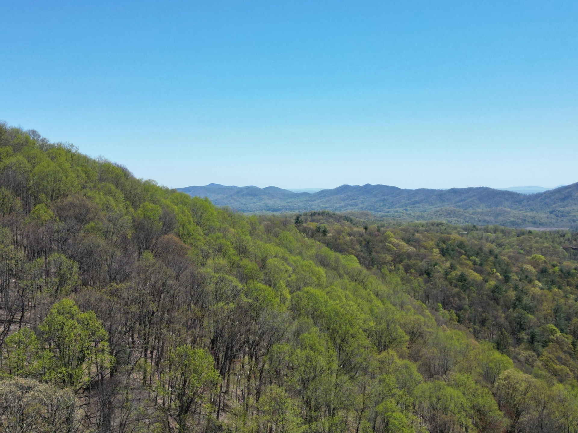 00 MASONS KNOB RD - Photo 25