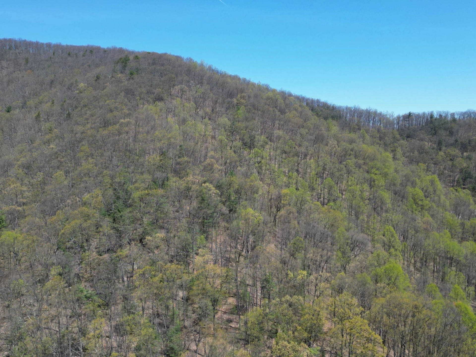 00 MASONS KNOB RD - Photo 26