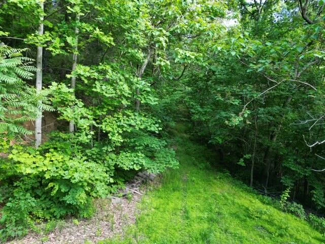 00 MASONS KNOB RD - Photo 27
