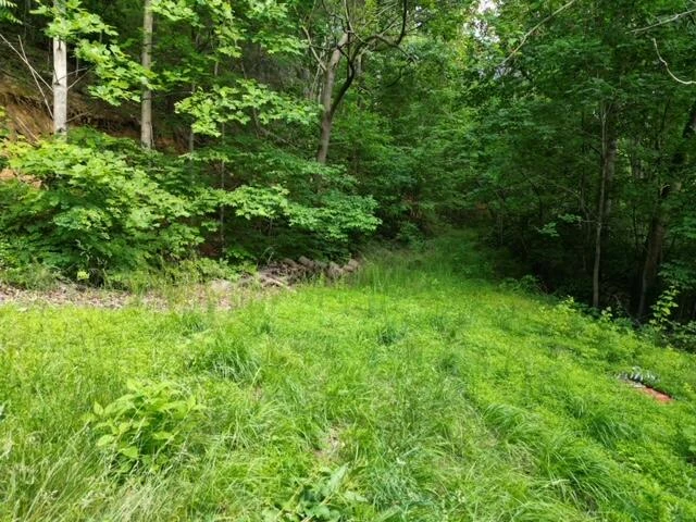 00 MASONS KNOB RD - Photo 28