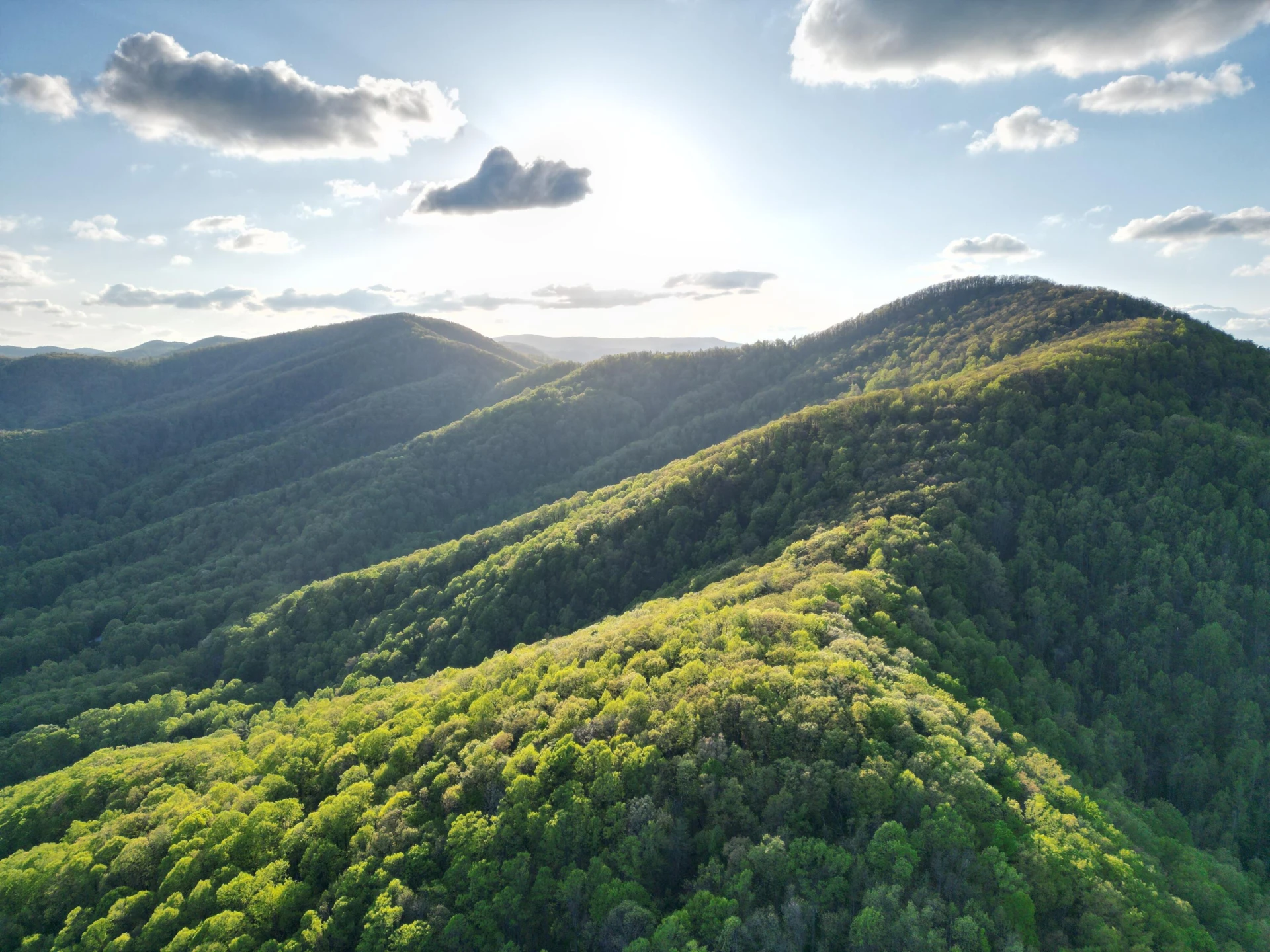 00 MASONS KNOB RD - Photo 3