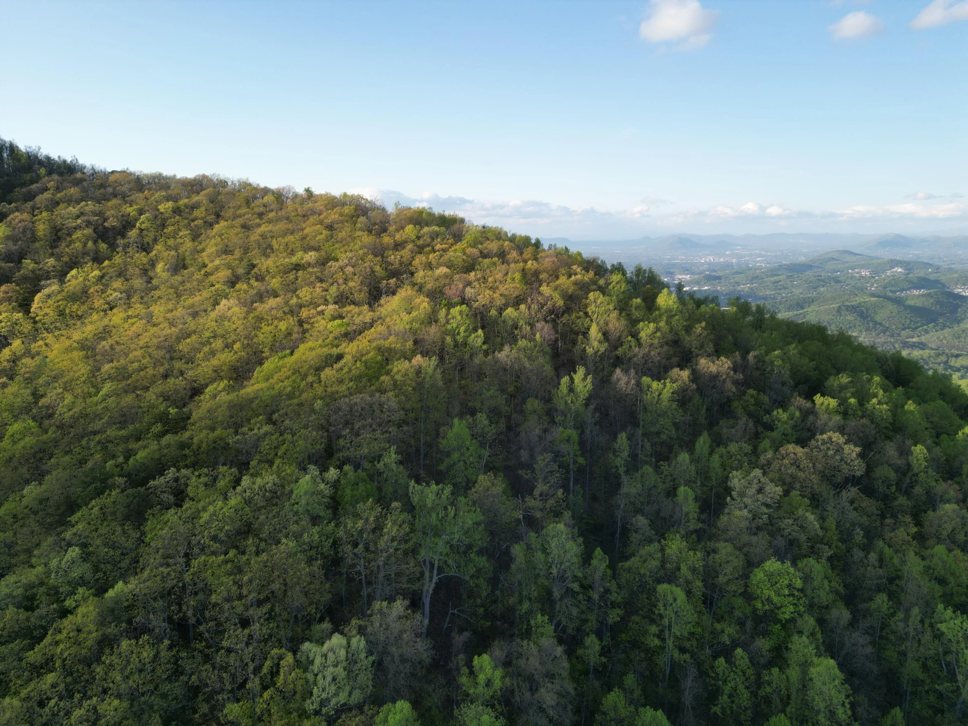 00 MASONS KNOB RD - Photo 4