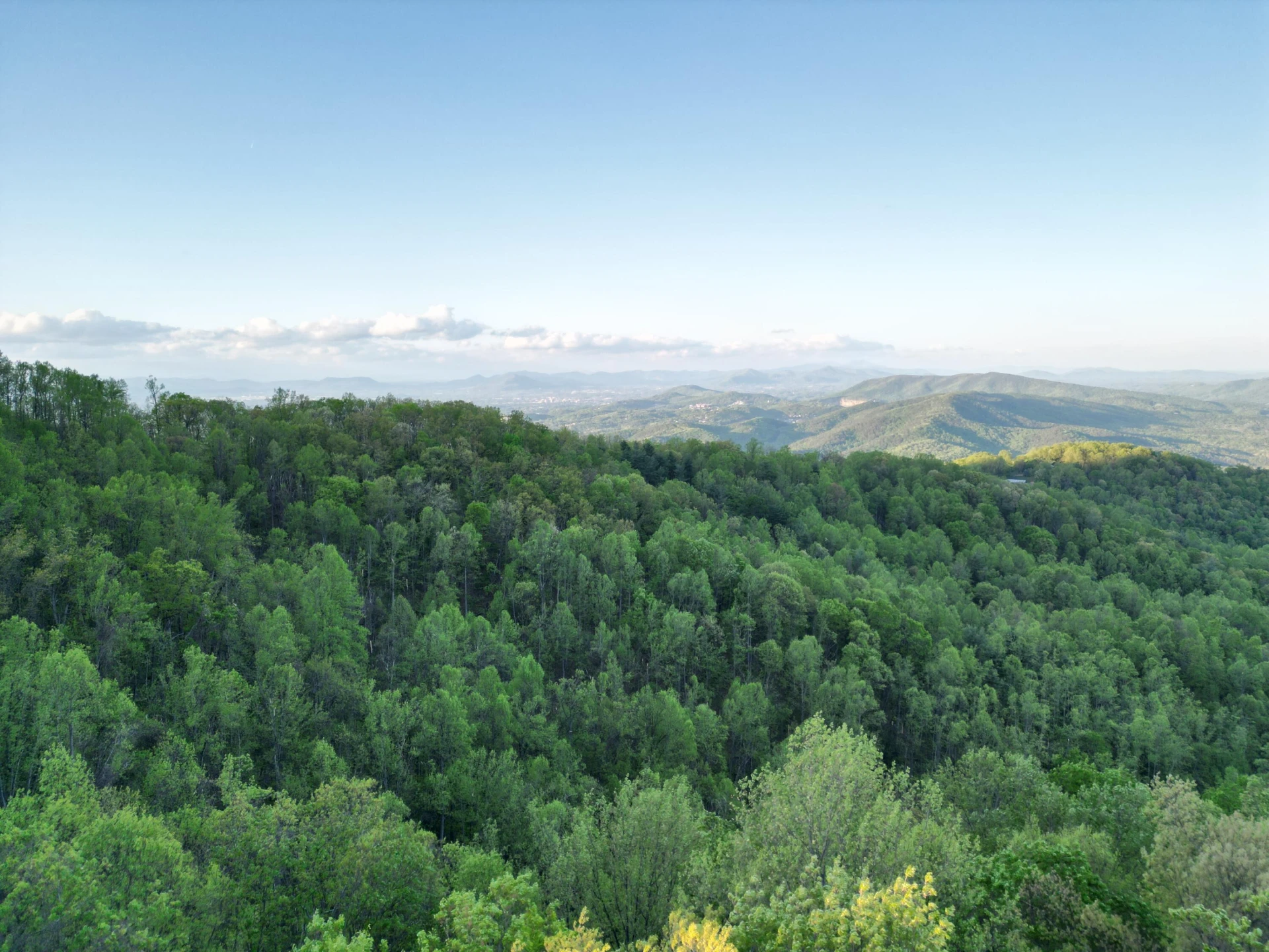 00 MASONS KNOB RD - Photo 6