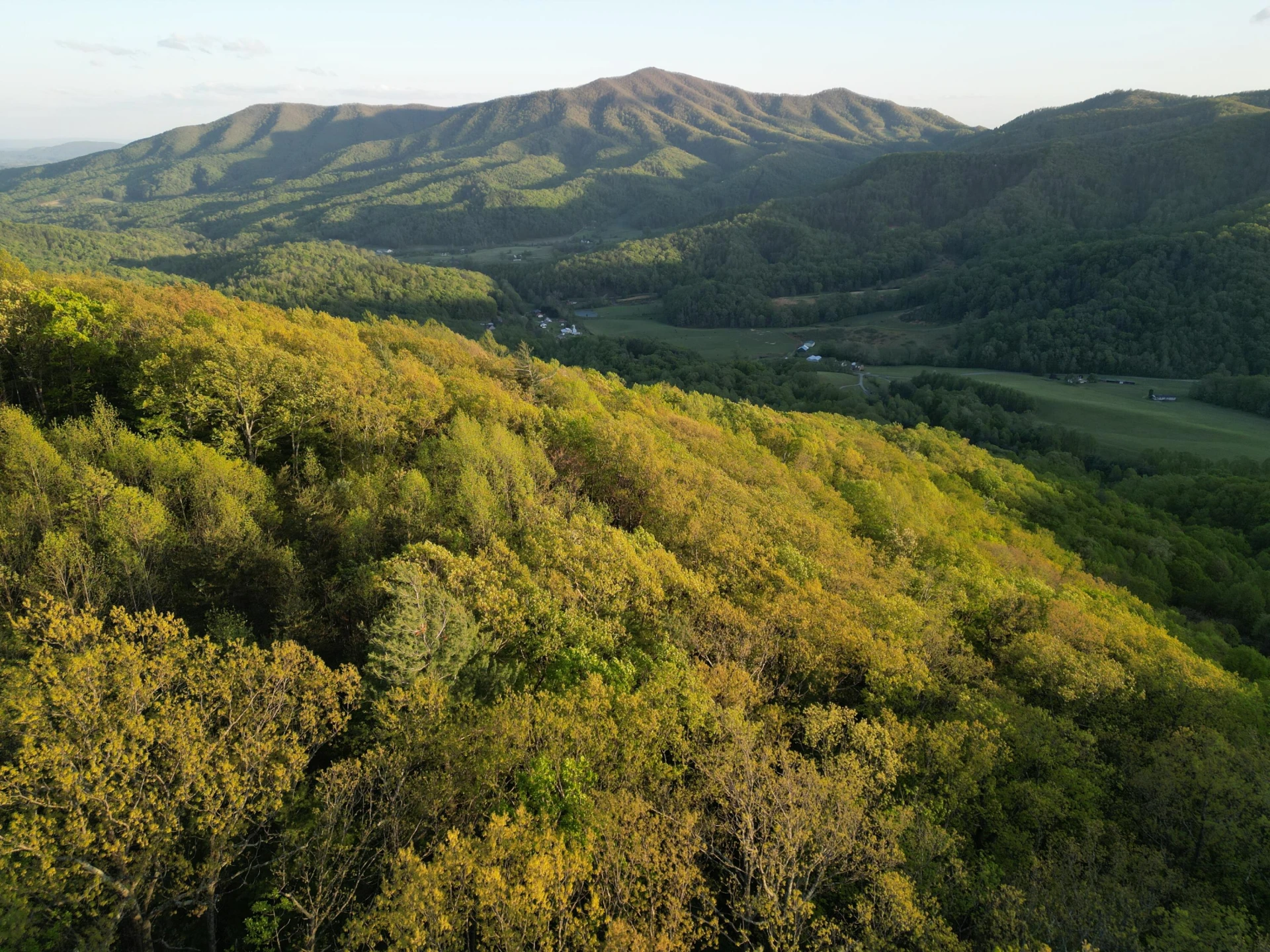 00 MASONS KNOB RD - Photo 7