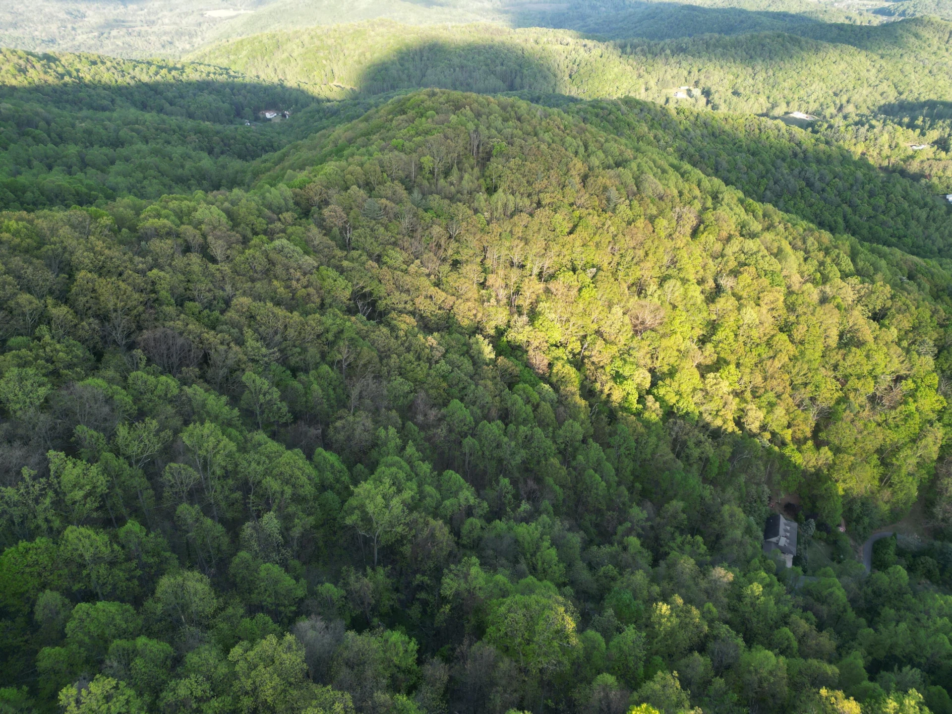 00 MASONS KNOB RD - Photo 9