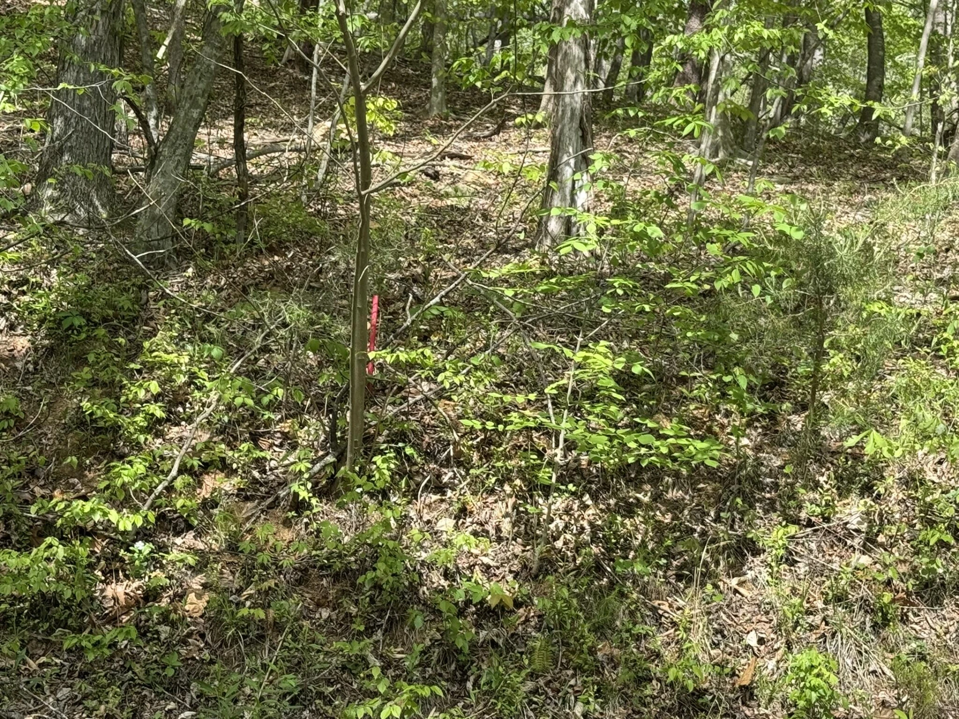 0 Dry Hill RD - Photo 10