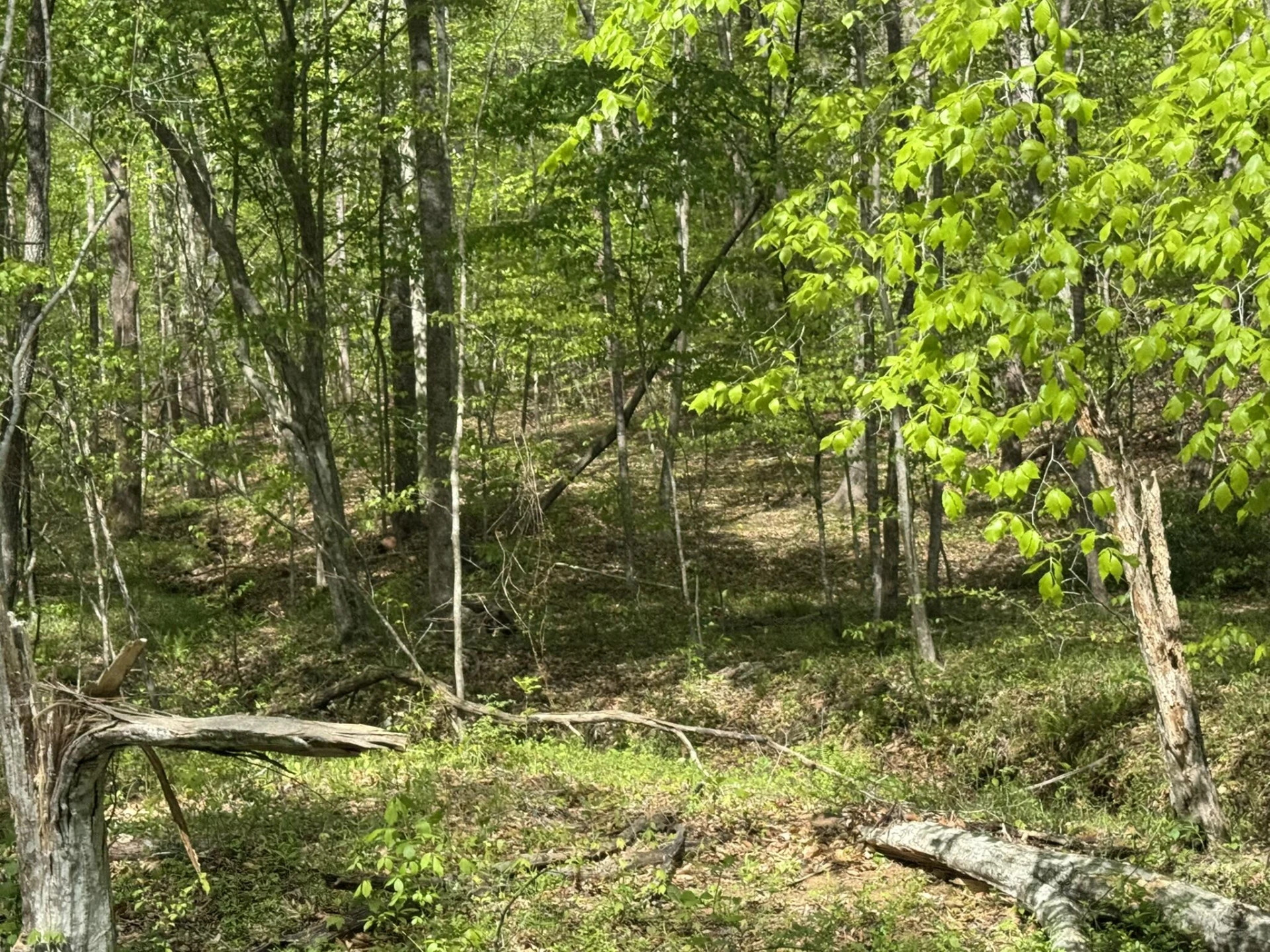 0 Dry Hill RD - Photo 2