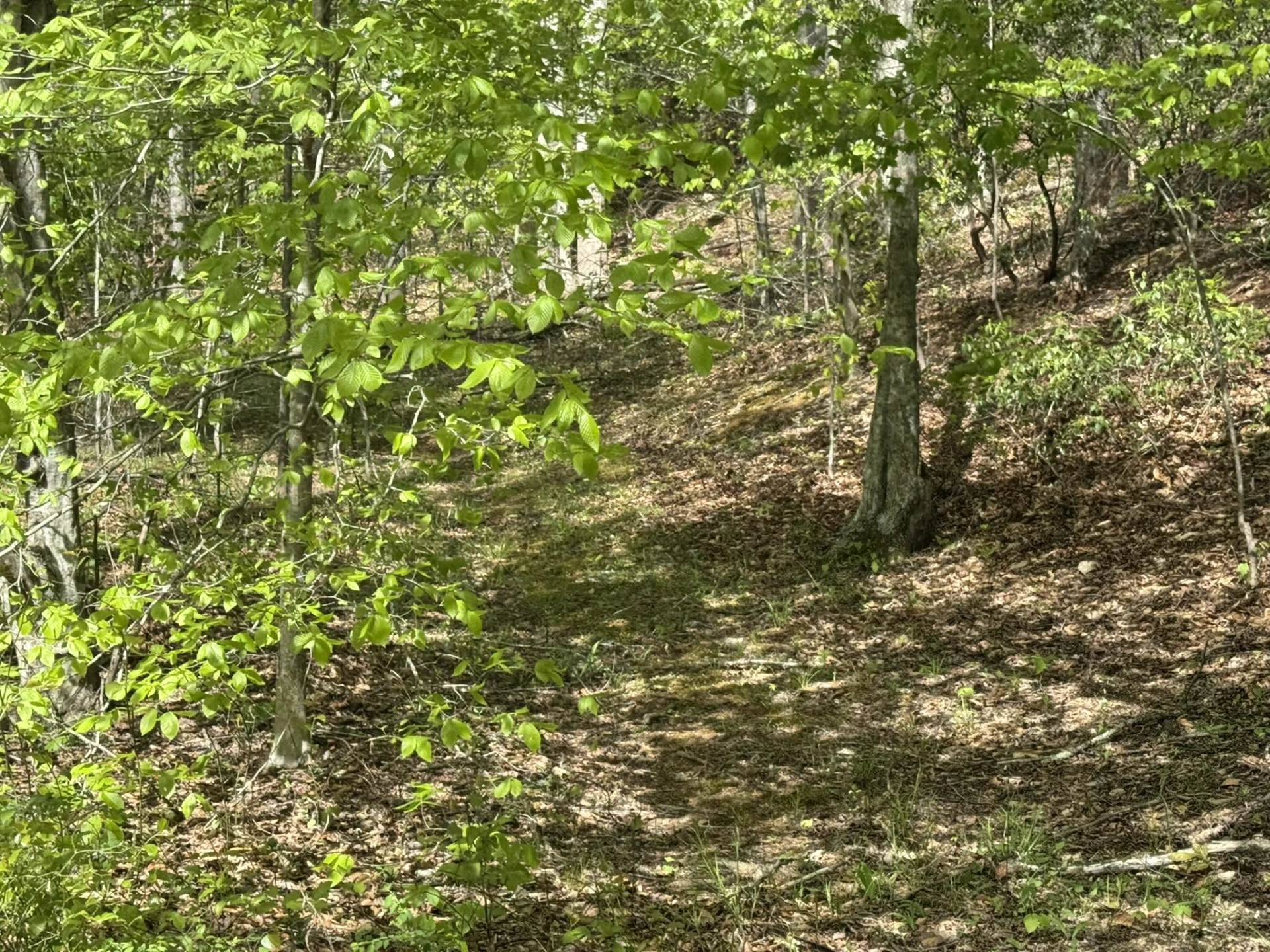 0 Dry Hill RD - Photo 5