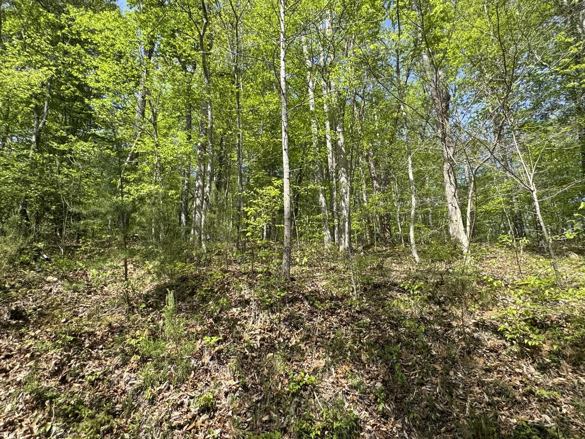 0 Dry Hill RD - Photo 8