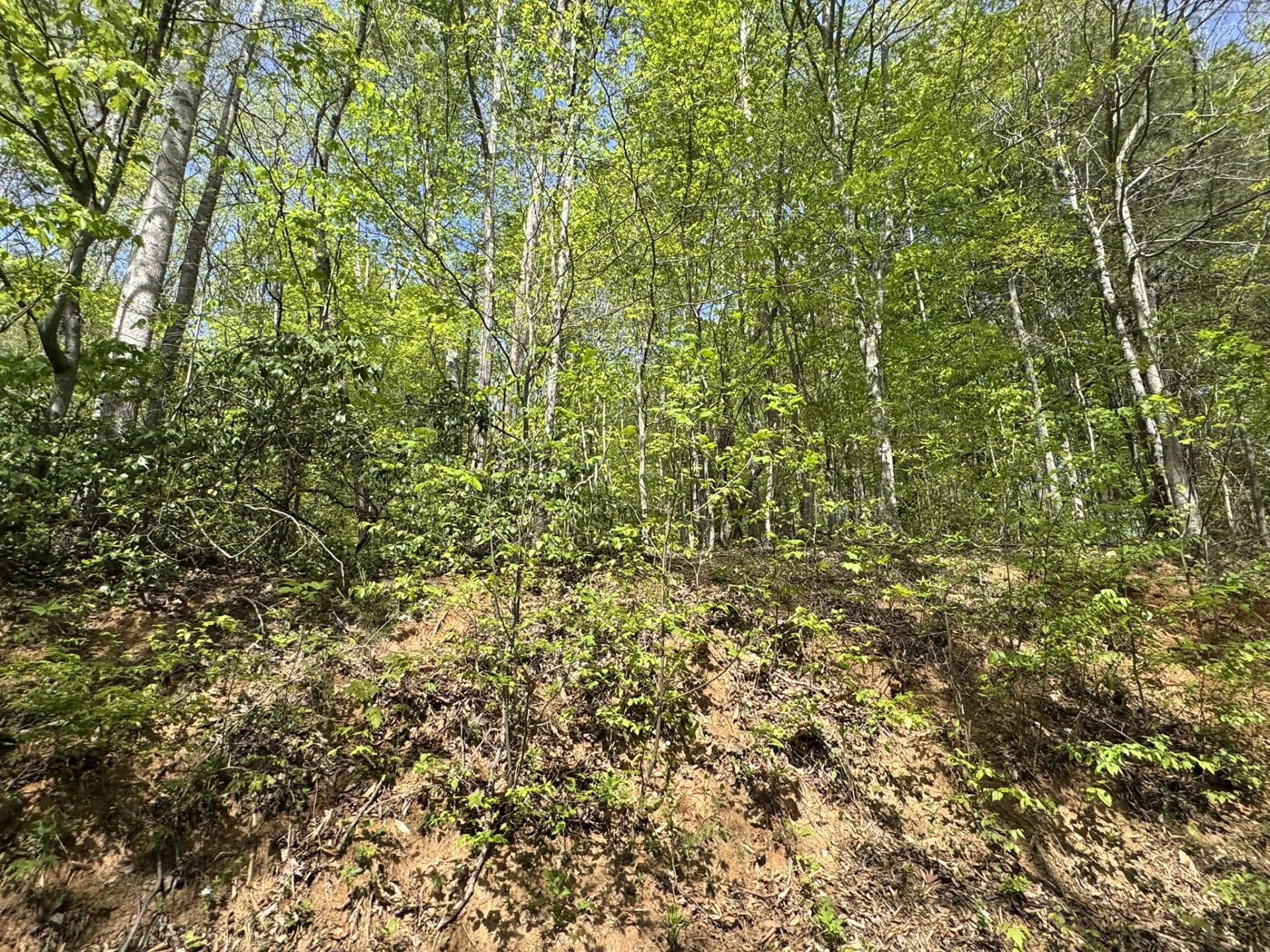 0 Dry Hill RD - Photo 9