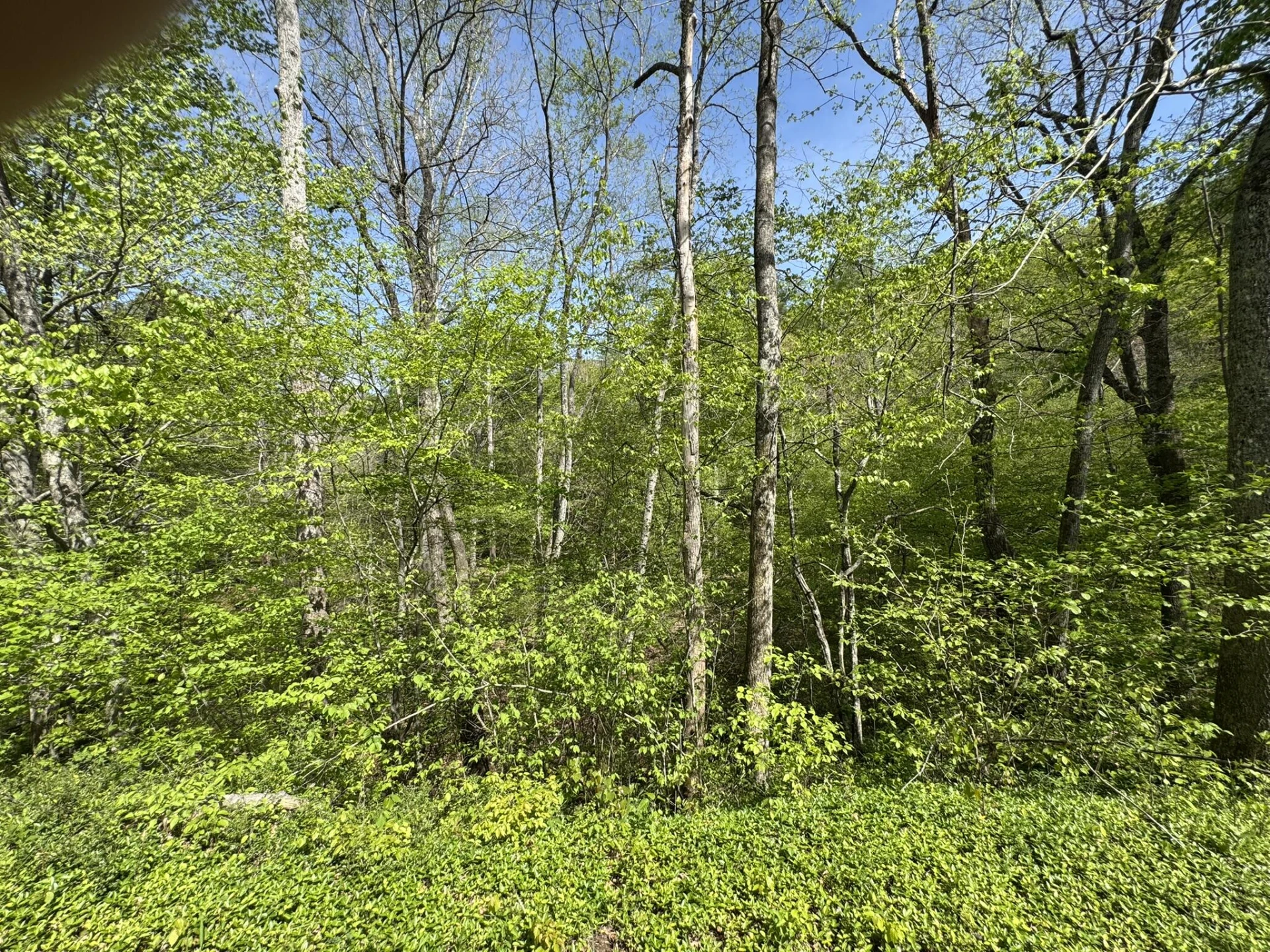 00 Dry Hill RD - Photo 10