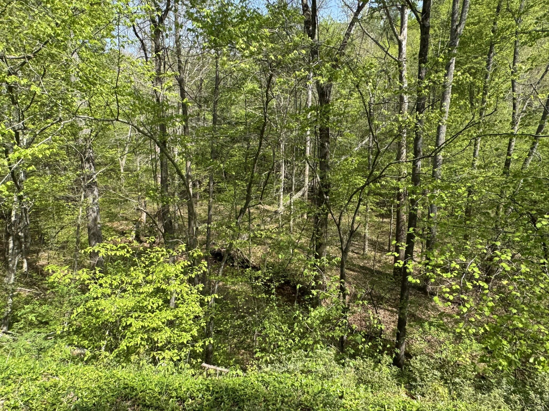 00 Dry Hill RD - Photo 11
