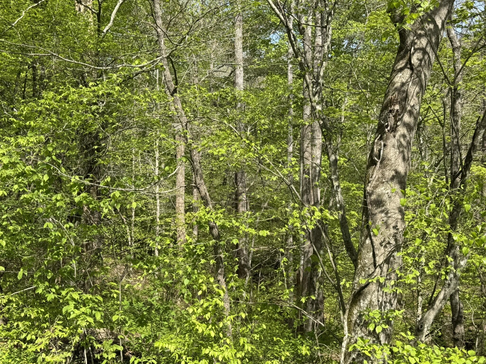 00 Dry Hill RD - Photo 12