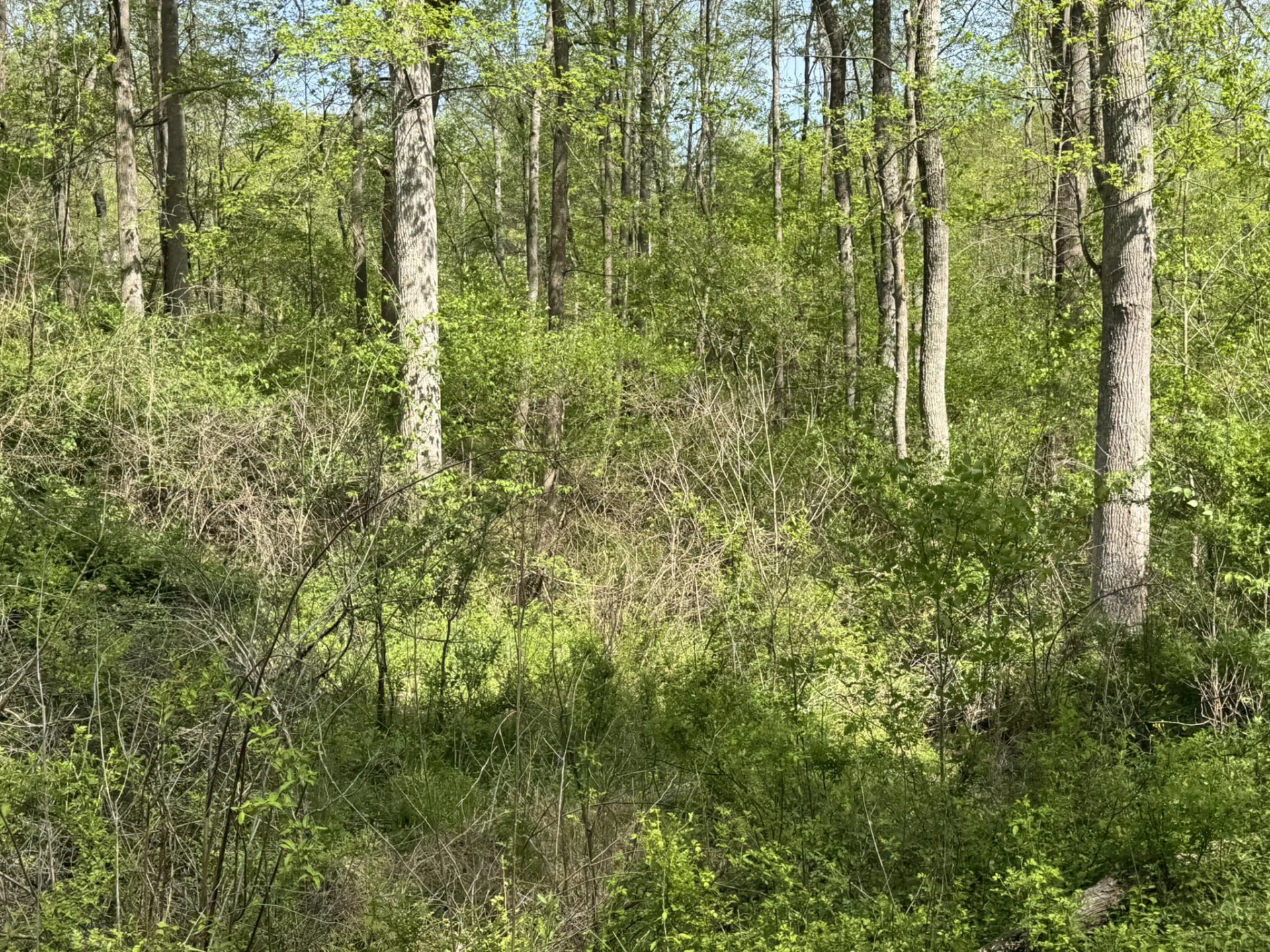 00 Dry Hill RD - Photo 13