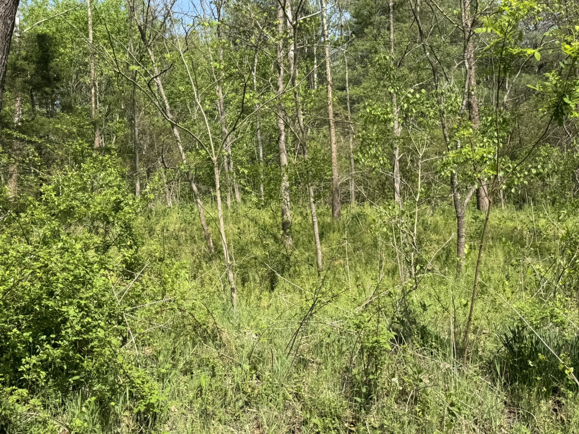00 Dry Hill RD - Photo 14