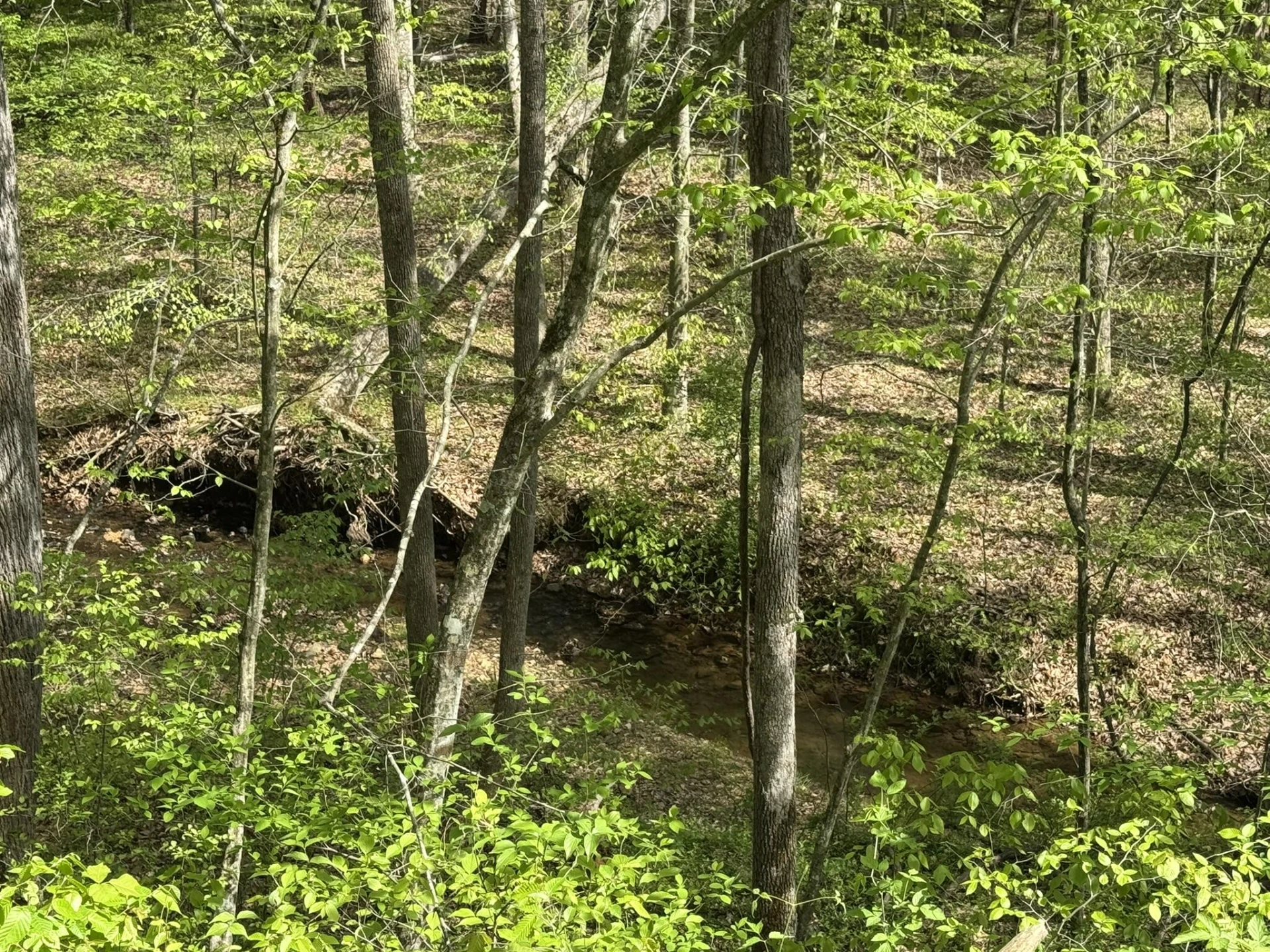 00 Dry Hill RD - Photo 2