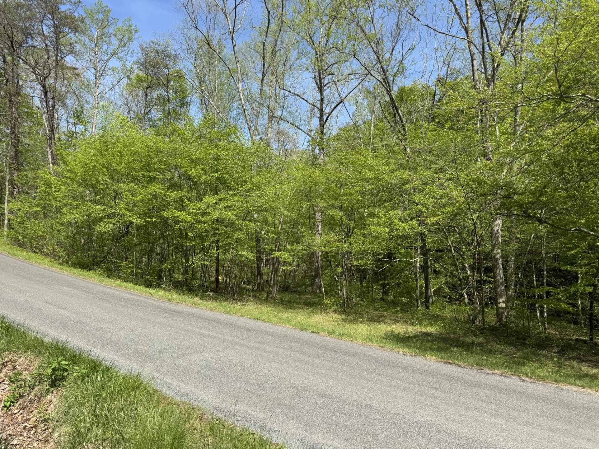 00 Dry Hill RD - Photo 3