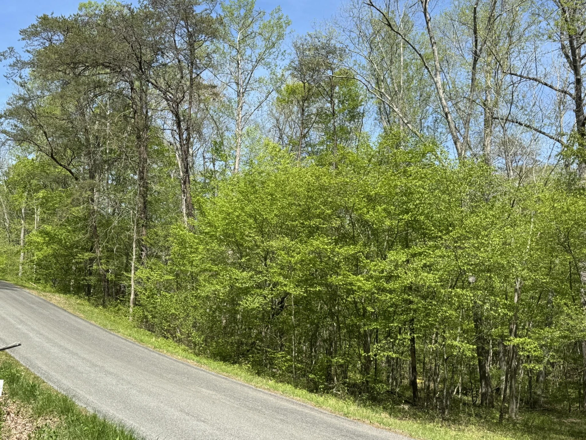 00 Dry Hill RD - Photo 4