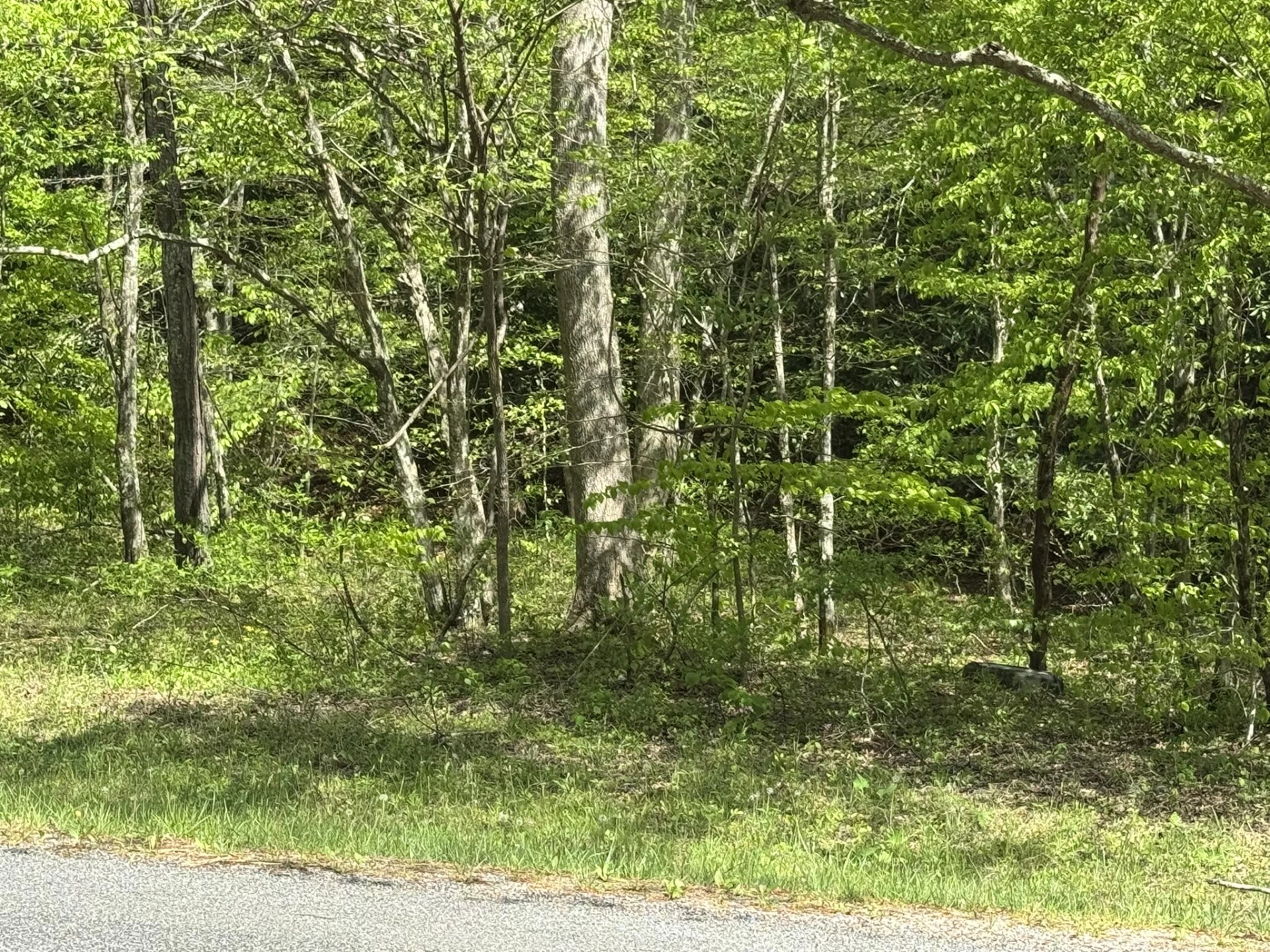 00 Dry Hill RD - Photo 5