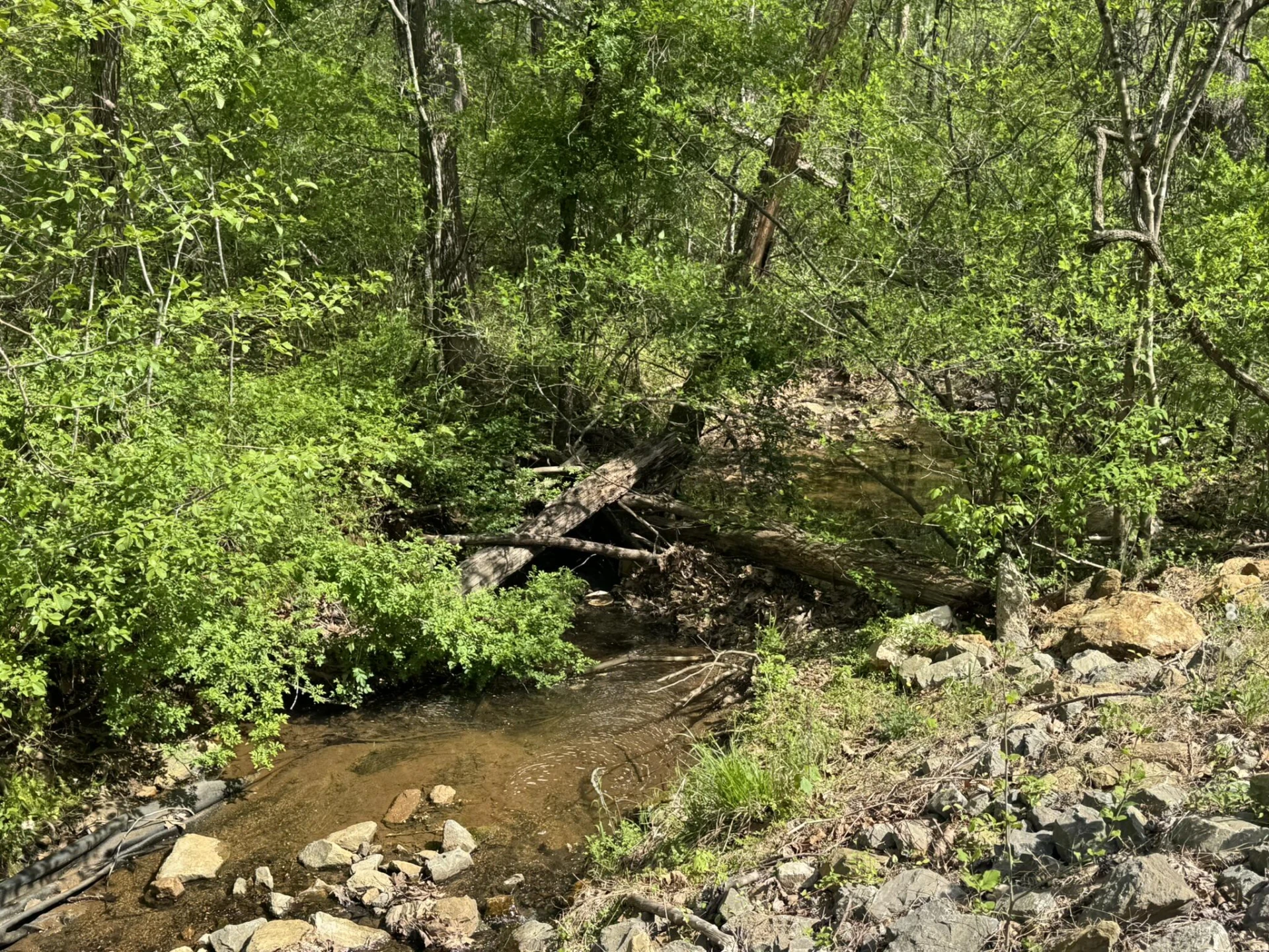 00 Dry Hill RD - Photo 9