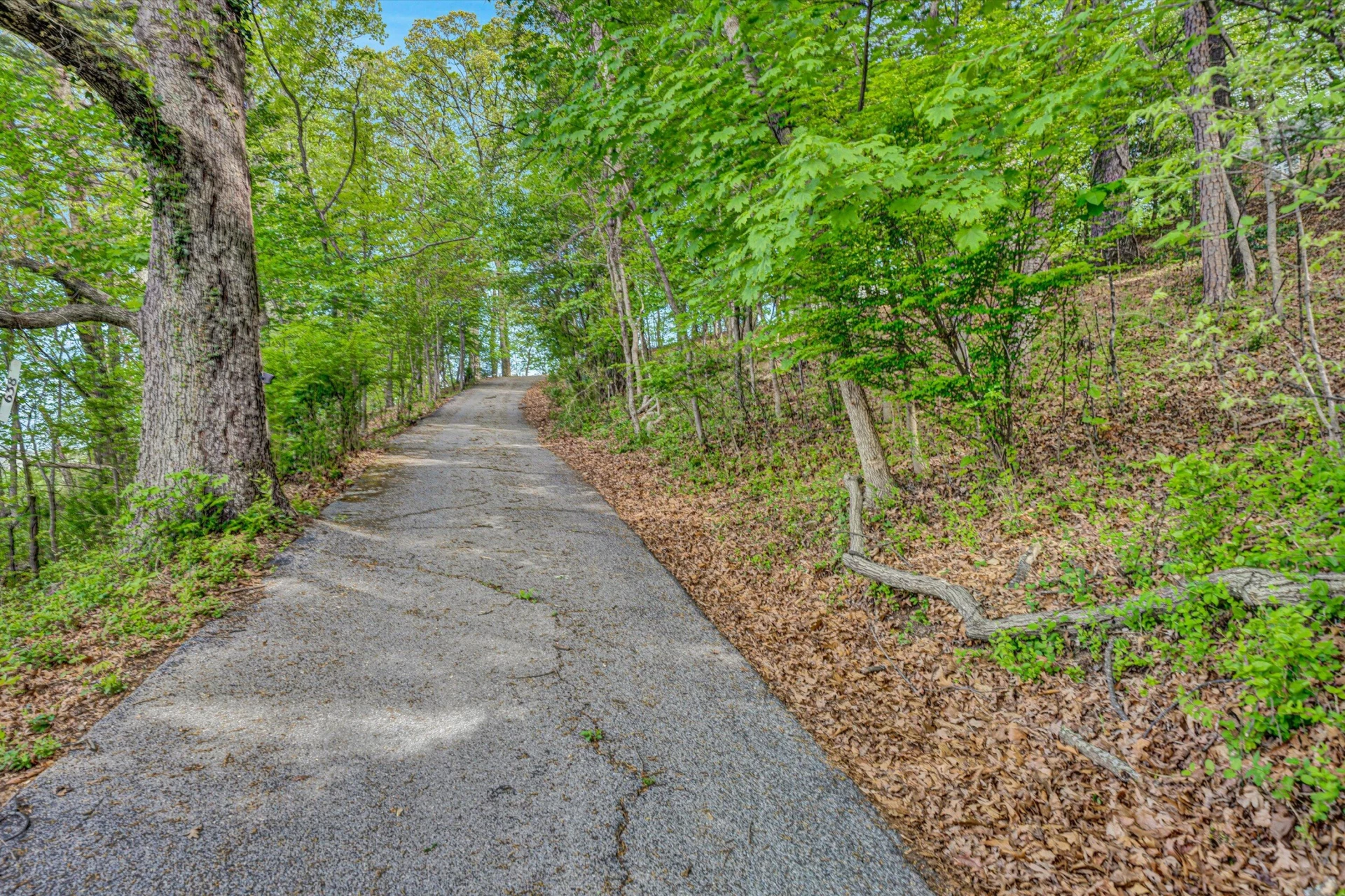 638 Dalewood AVE - Photo 40