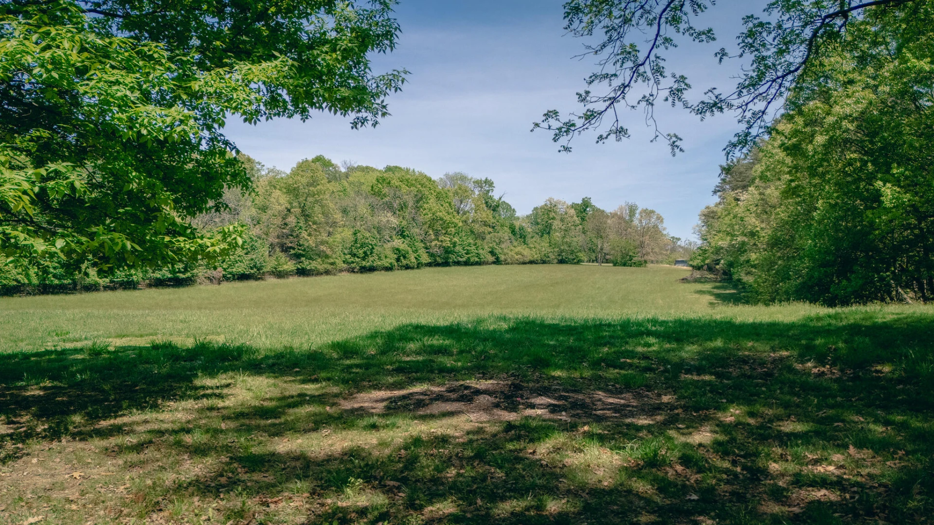 638 Dalewood AVE - Photo 41