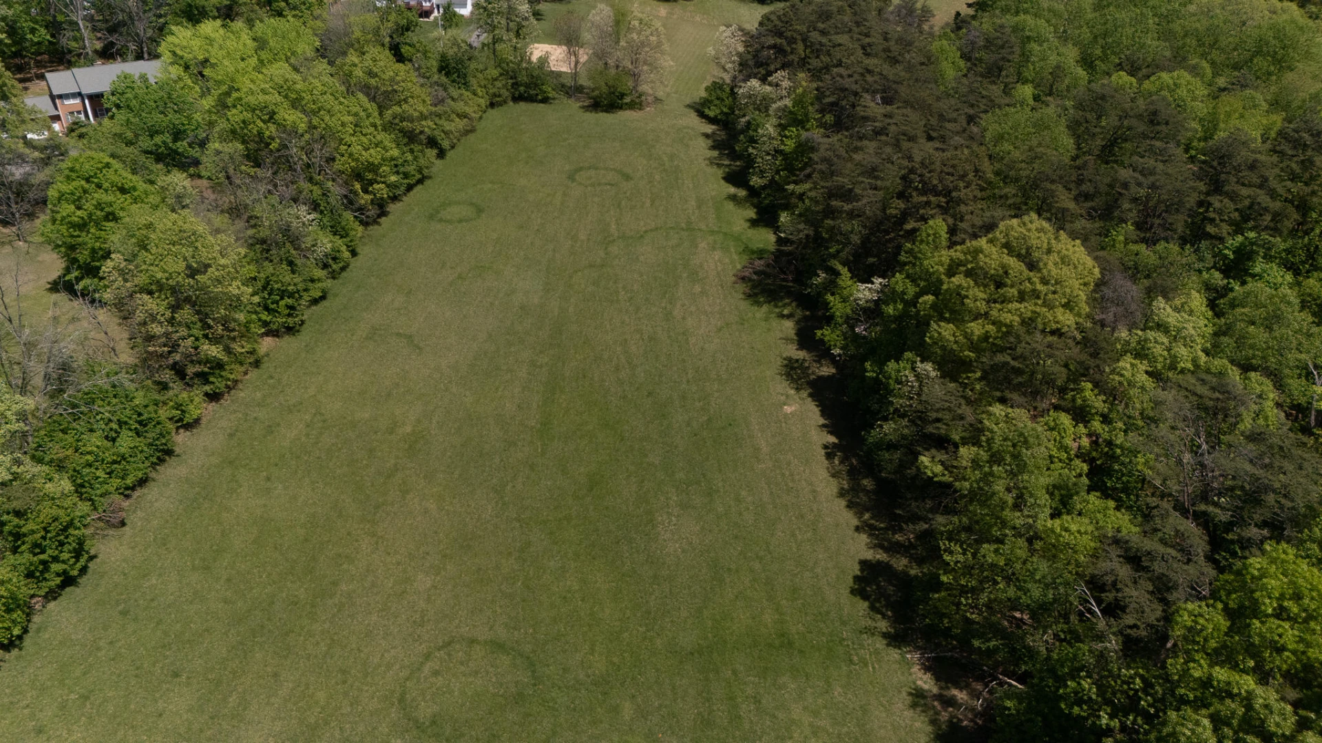 638 Dalewood AVE - Photo 44