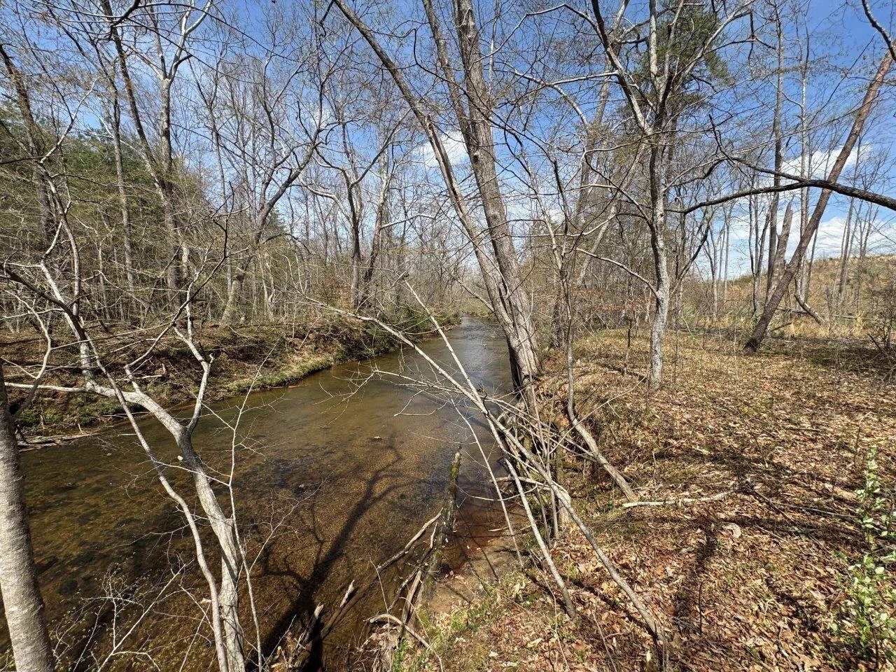 1630 Taylor Tyree RD - Photo 18