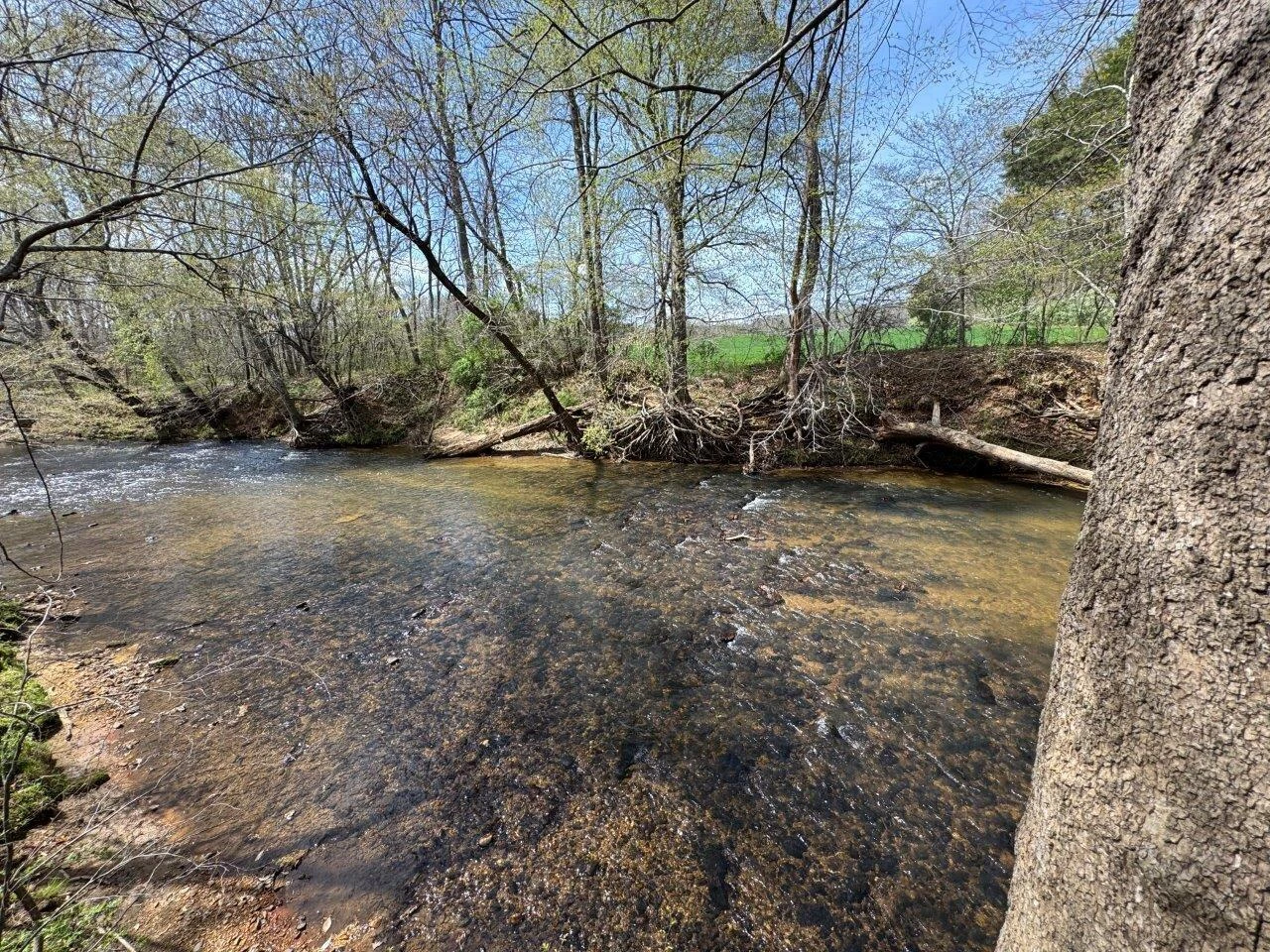 1630 Taylor Tyree RD - Photo 23