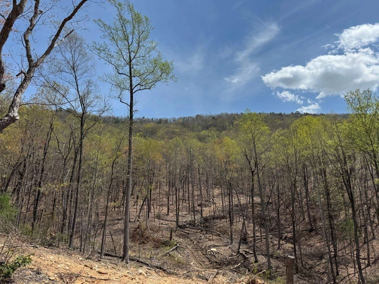 1630 Taylor Tyree RD - Photo 28