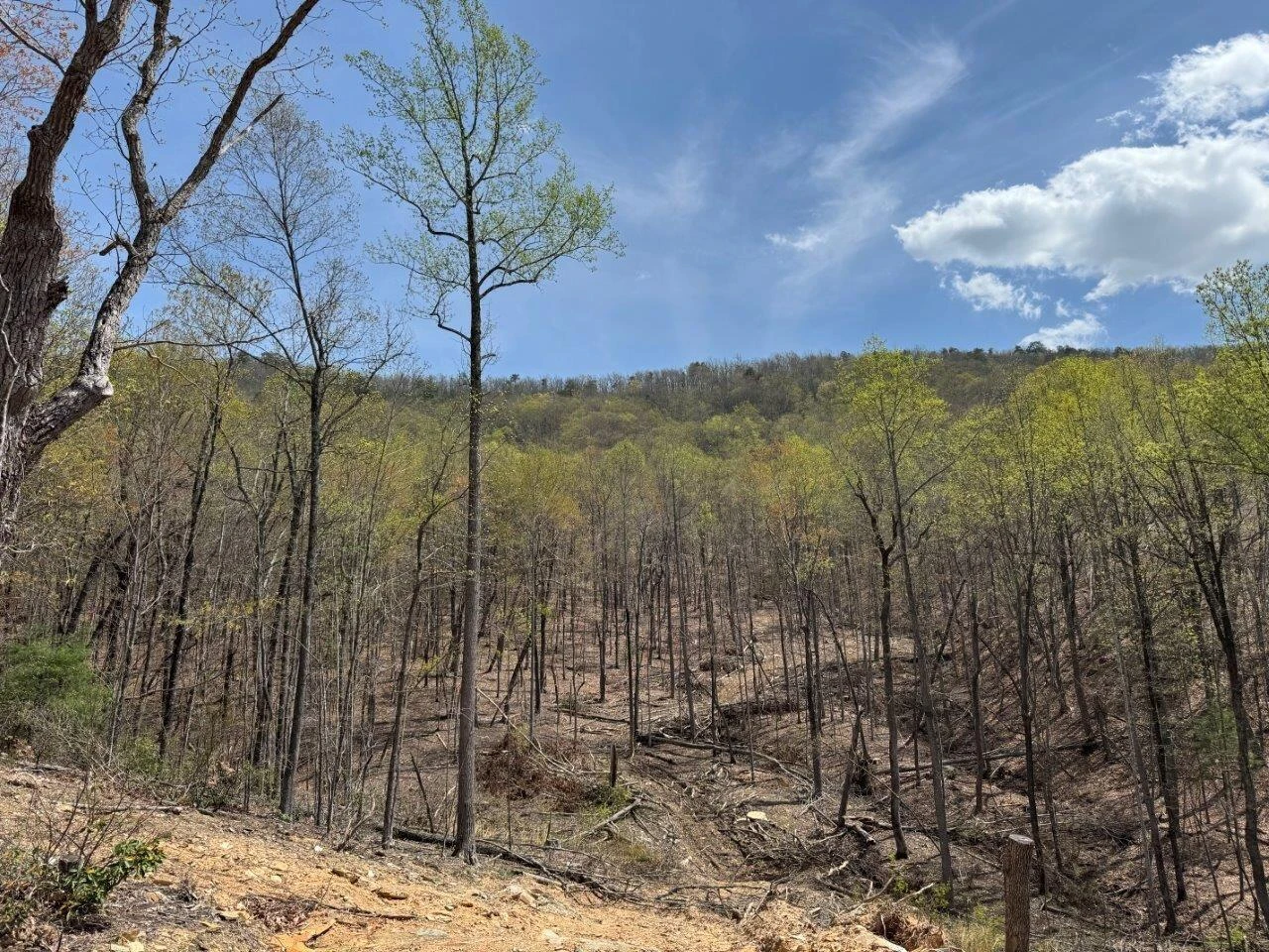 1630 Taylor Tyree RD - Photo 29