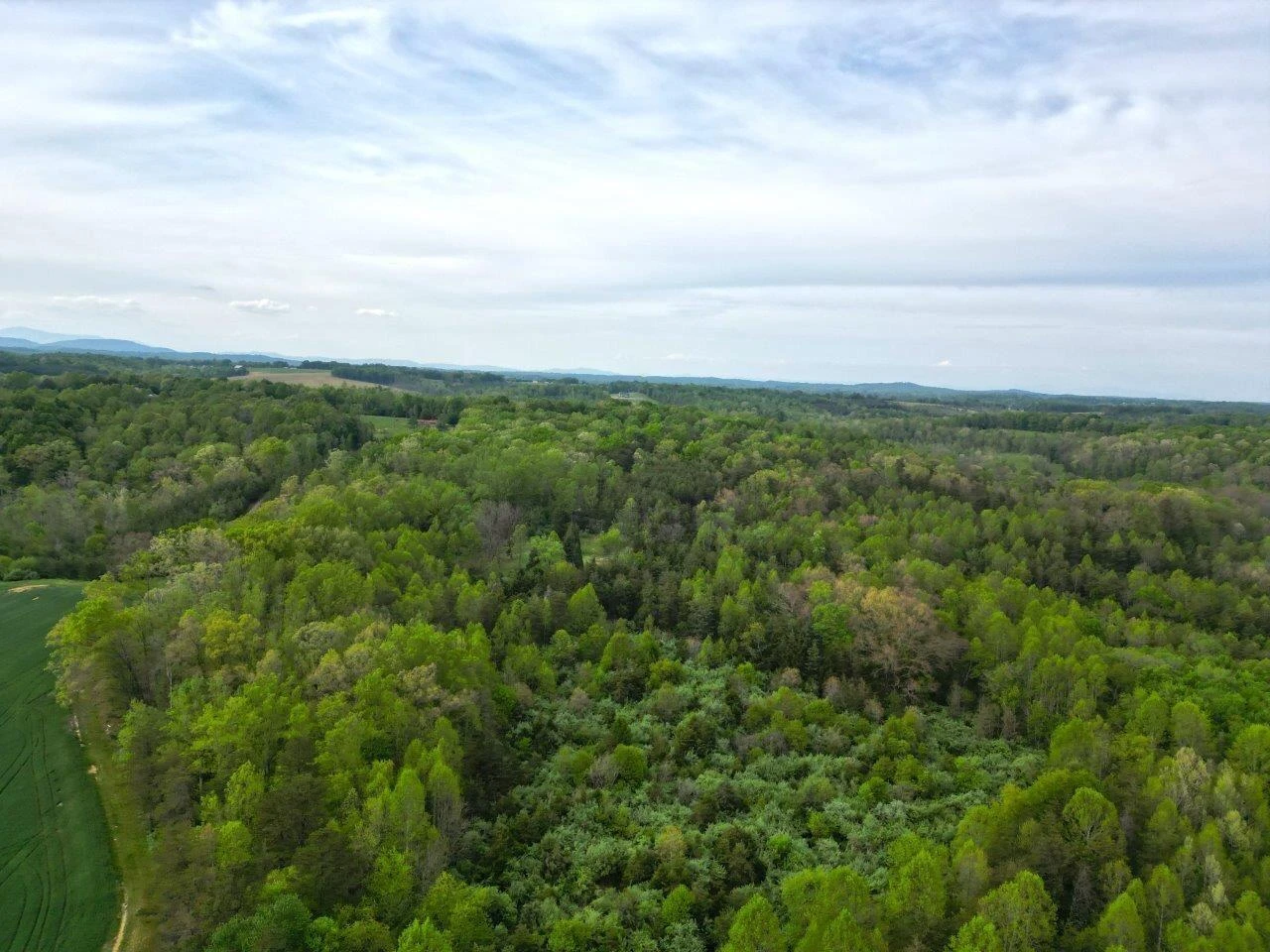 1630 Taylor Tyree RD - Photo 3