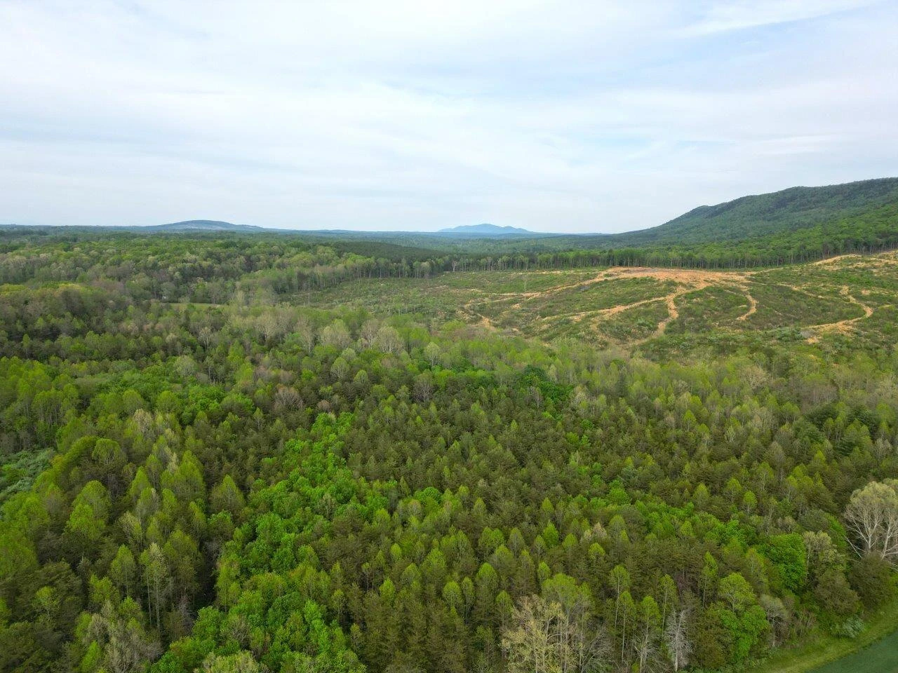 1630 Taylor Tyree RD - Photo 4