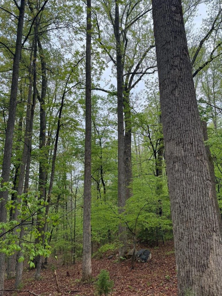 1630 Taylor Tyree RD - Photo 45