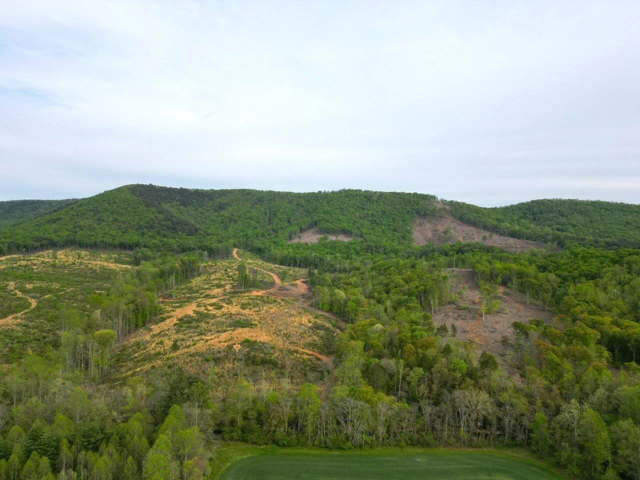 1630 Taylor Tyree RD - Photo 6