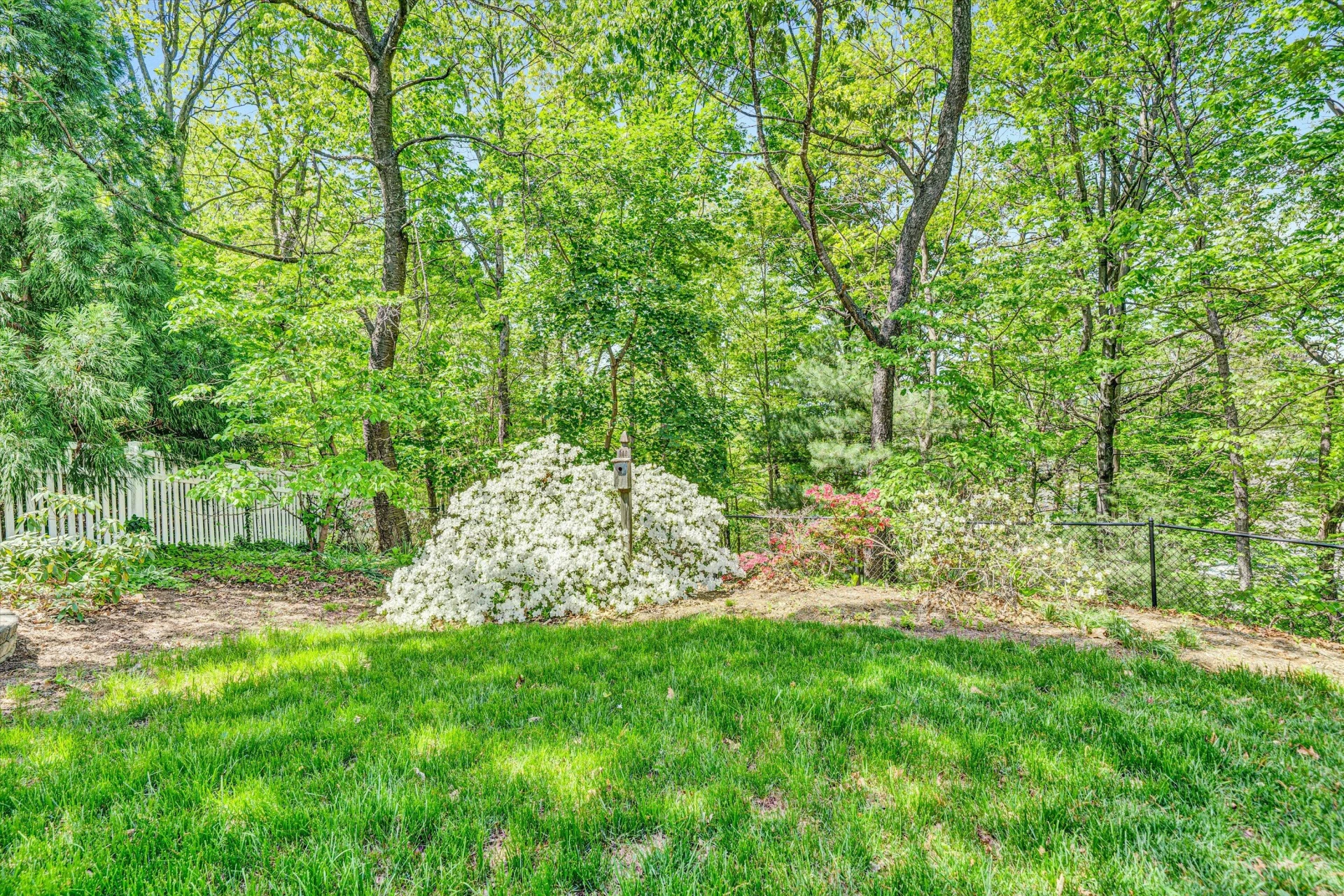 1301 Belle Aire LN - Photo 47