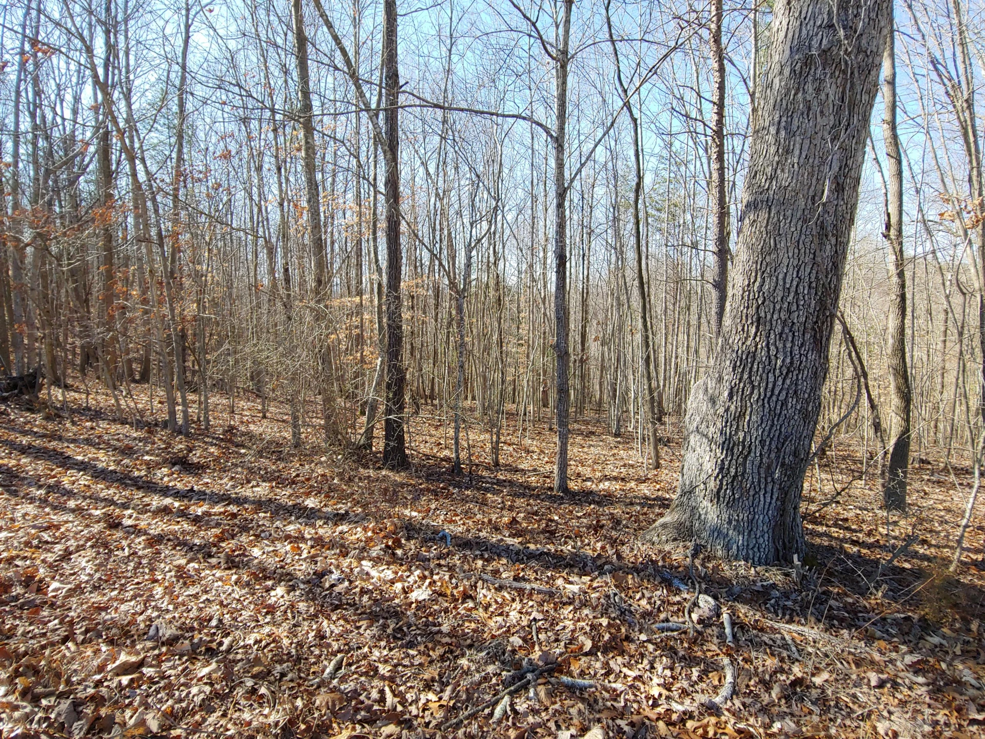 0 Horseshoe Bend RD