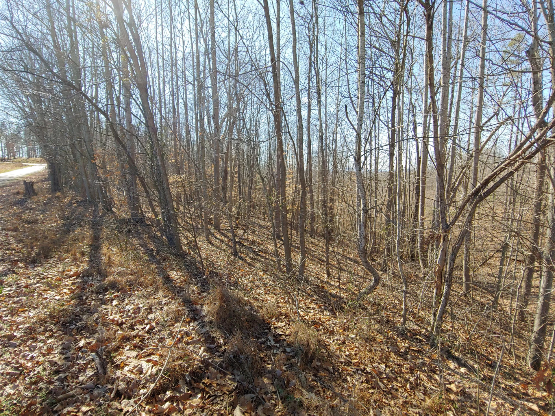 0 Horseshoe Bend RD - Photo 5