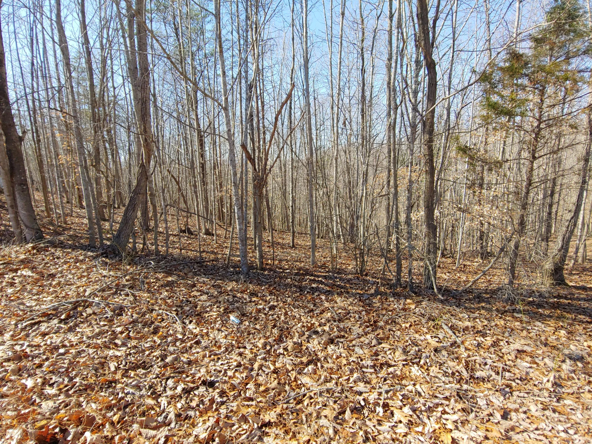 LOT 9 Horseshoe Bend RD