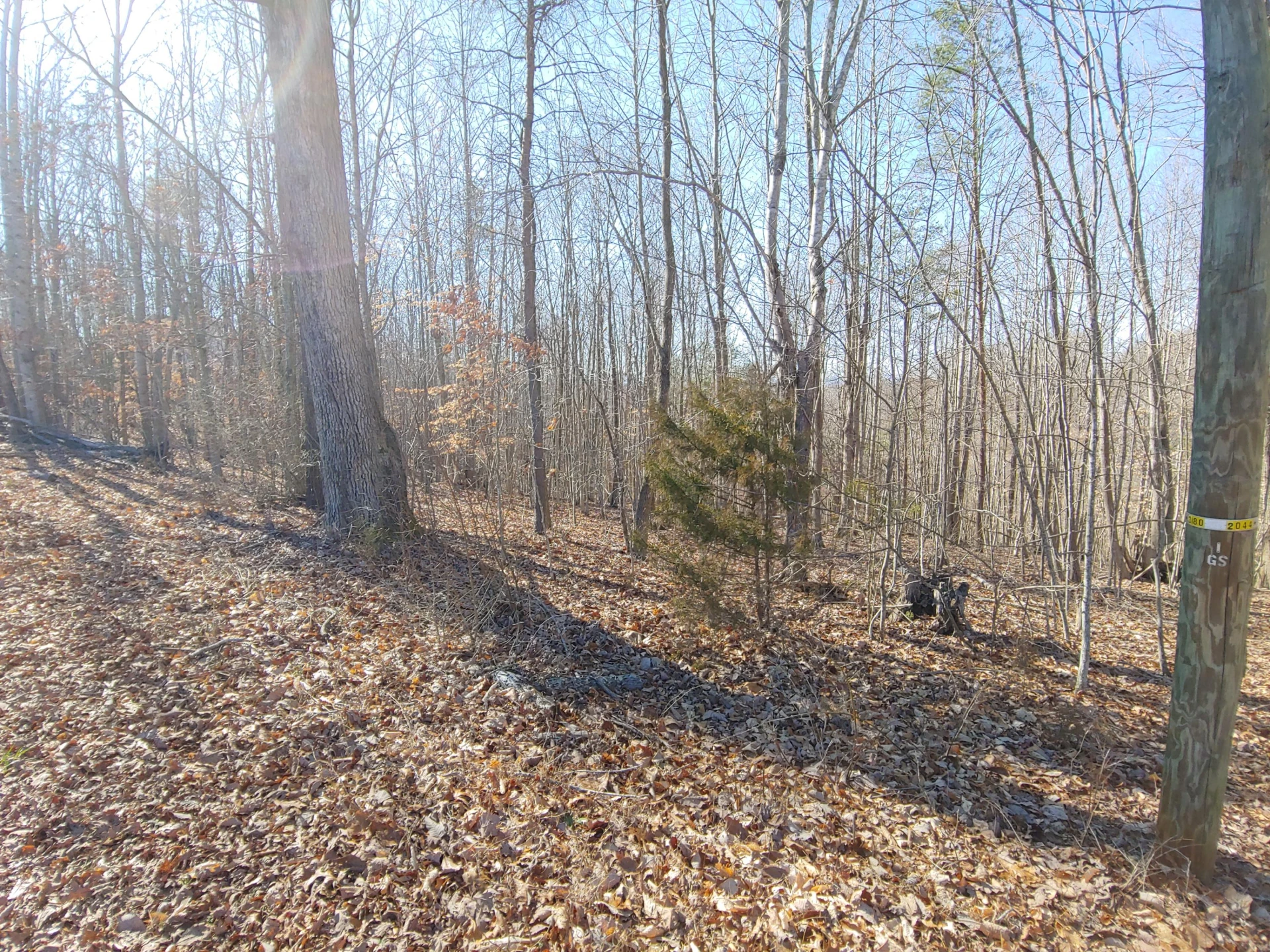 LOT 9 Horseshoe Bend RD - Photo 3